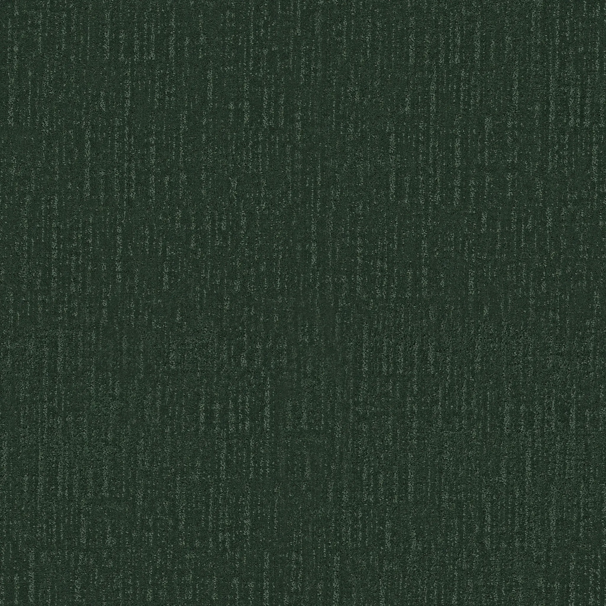 magnolia-branch-enhance-your-space-with-the-timeless-beauty-of-pattern-broadloom-carpet-flooring