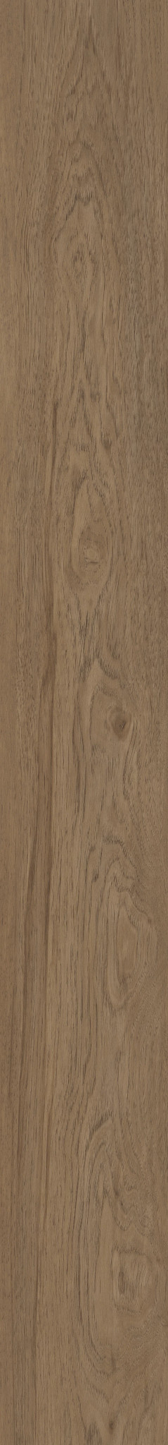 IGNITE TOASTED ALDER 1TO1