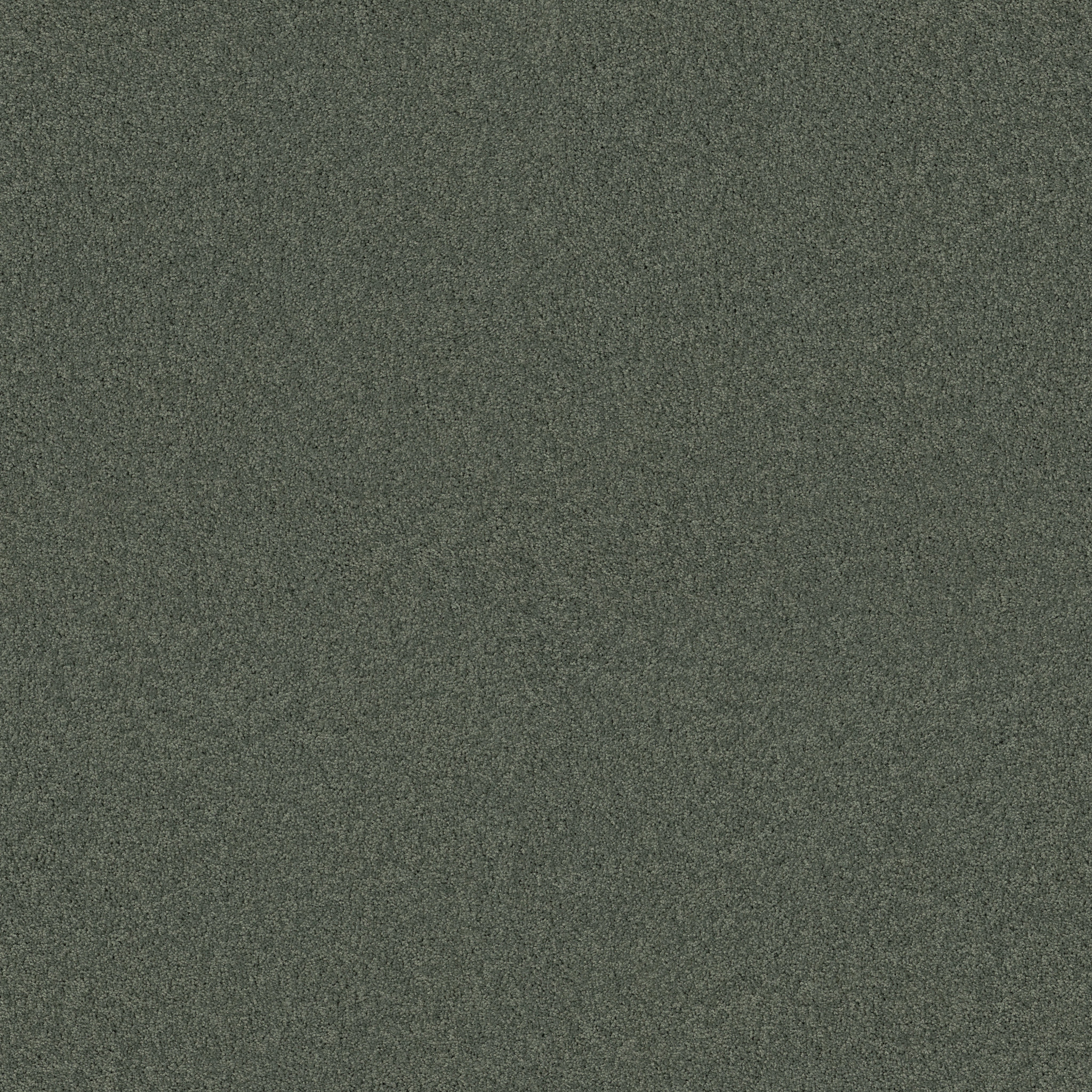 INSPIRED BY I BAY LAUREL MAIN