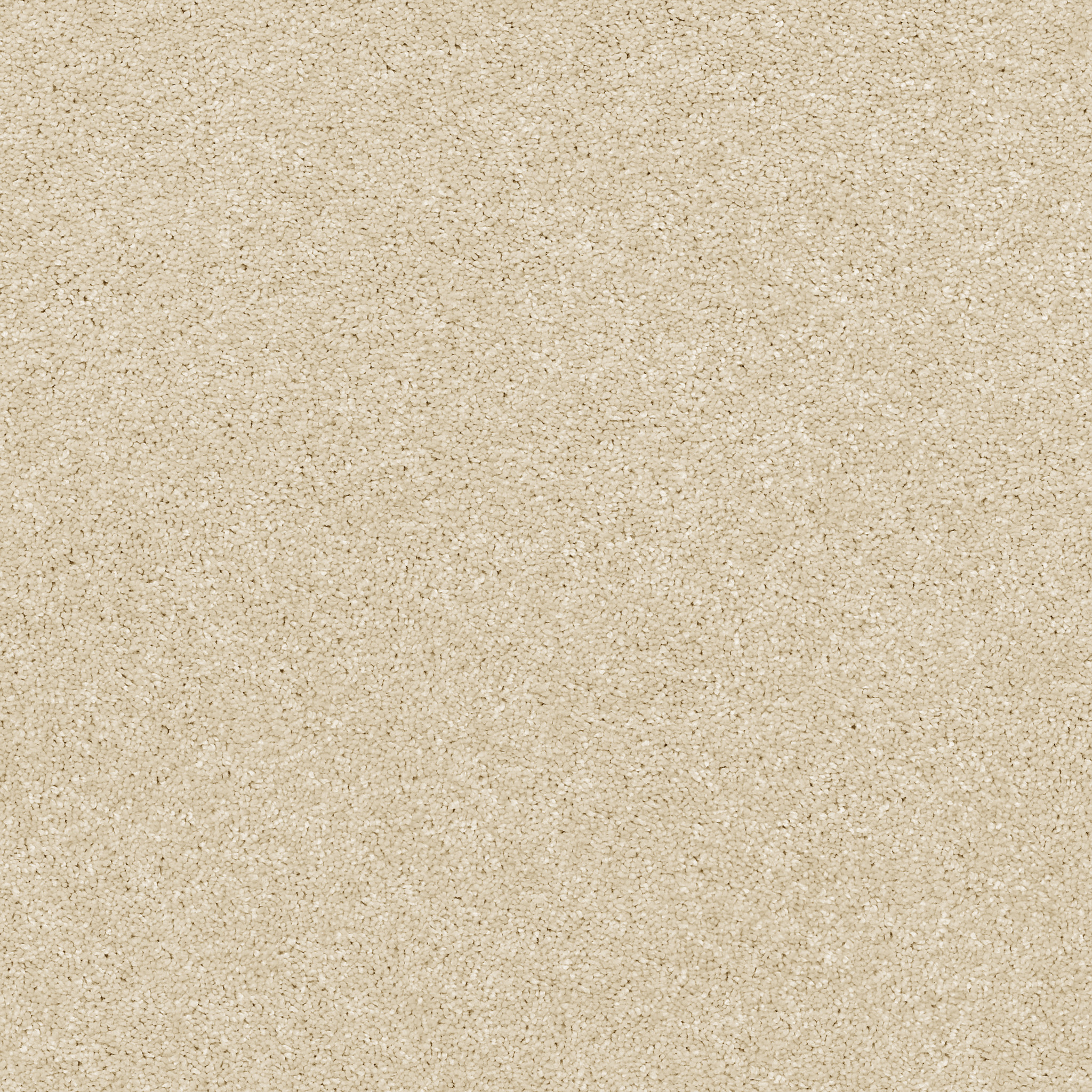 Basic Rules - Arctic Fox Carpet | Shaw Floors