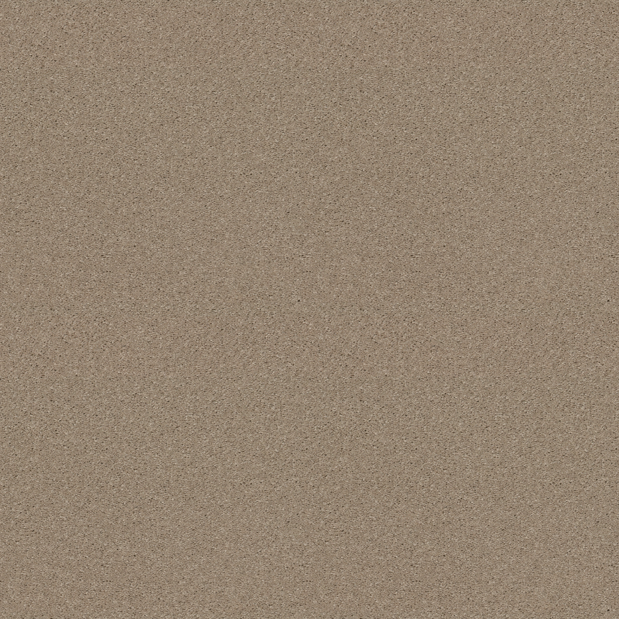 DESIGNER'S CHOICE SANDY NOOK MAIN