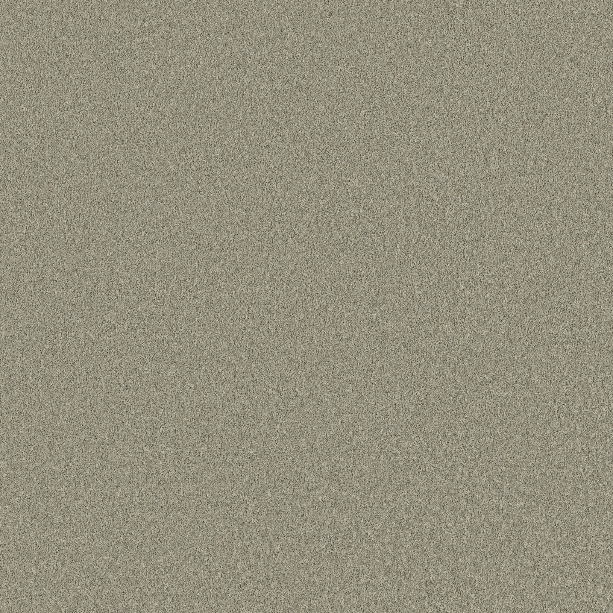 VELVET TOUCH II ORGANIC GROWN MAIN