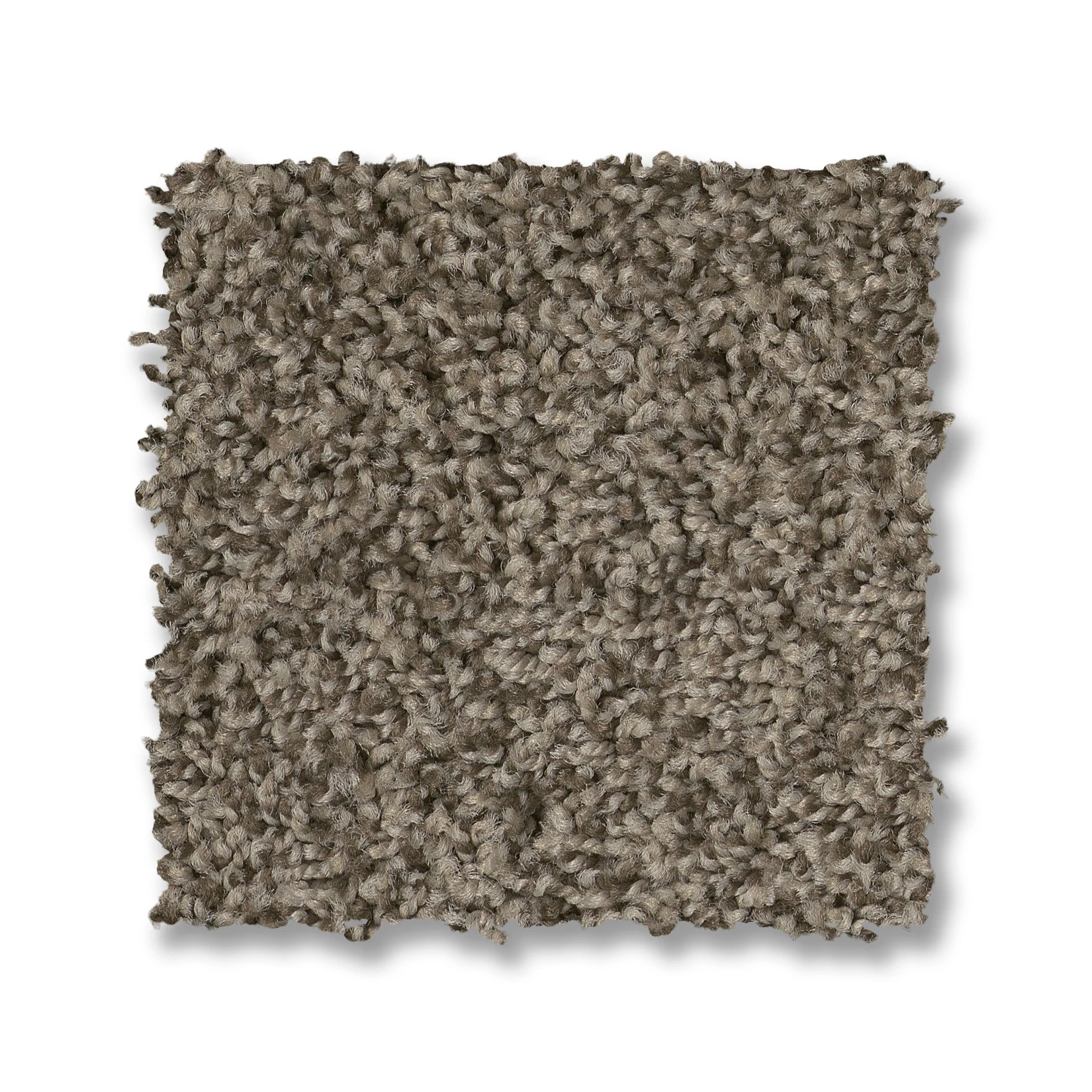 VIA NOVA ARROWHEAD SWATCH