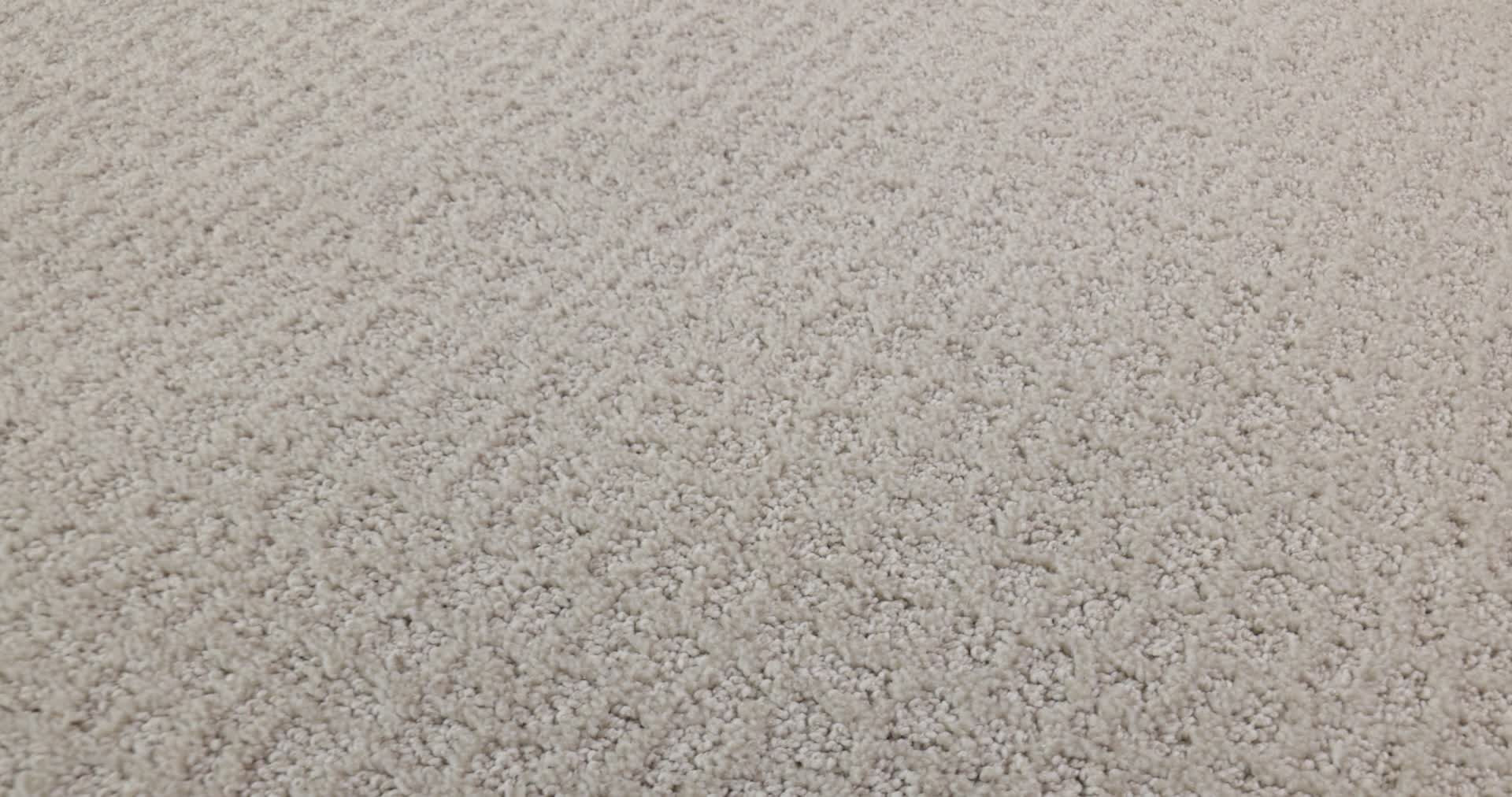 CHIC SHADES SERENE STILL 360PROD