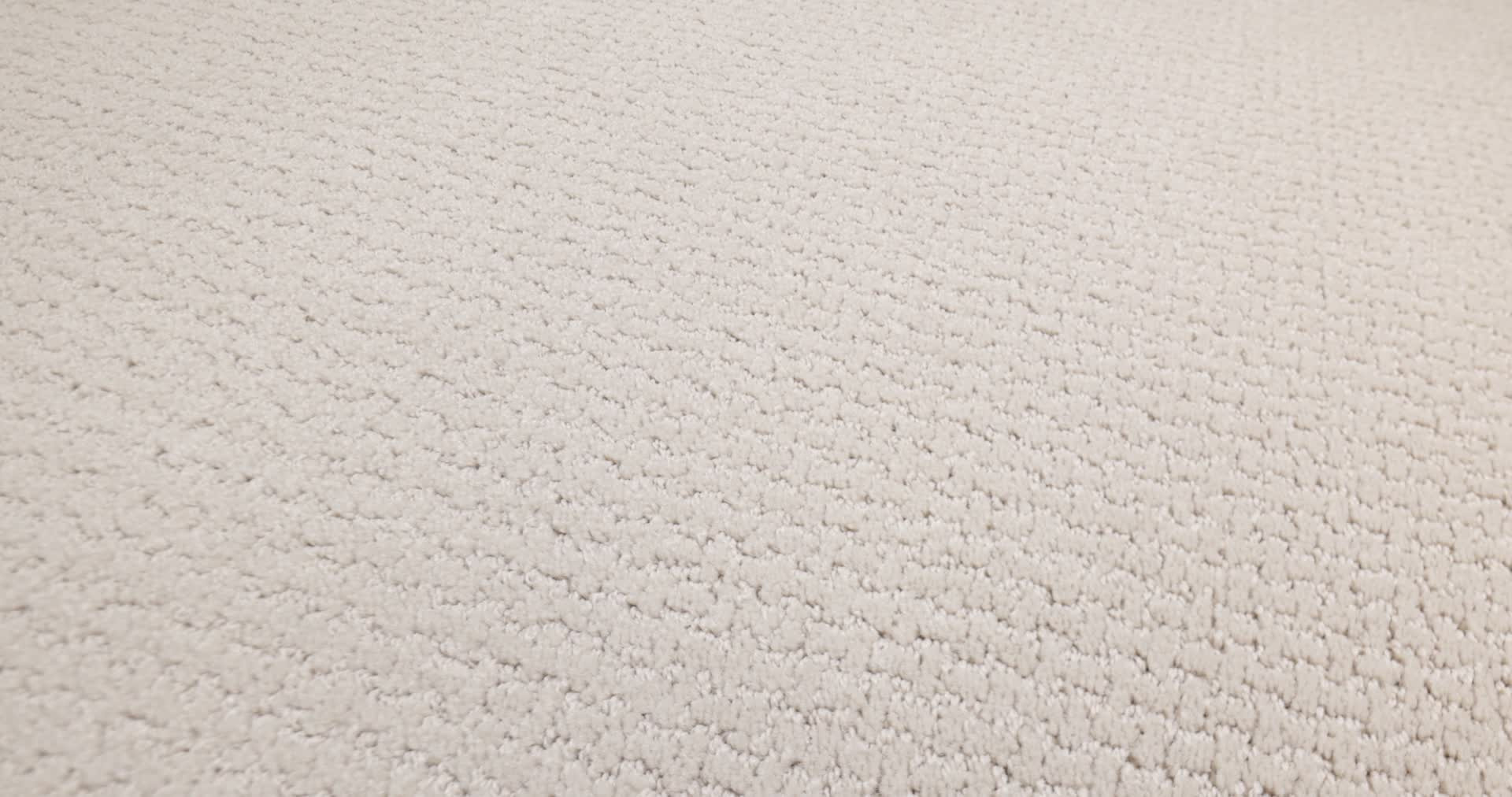 WARM MEMORIES NEED A HUG 360PROD