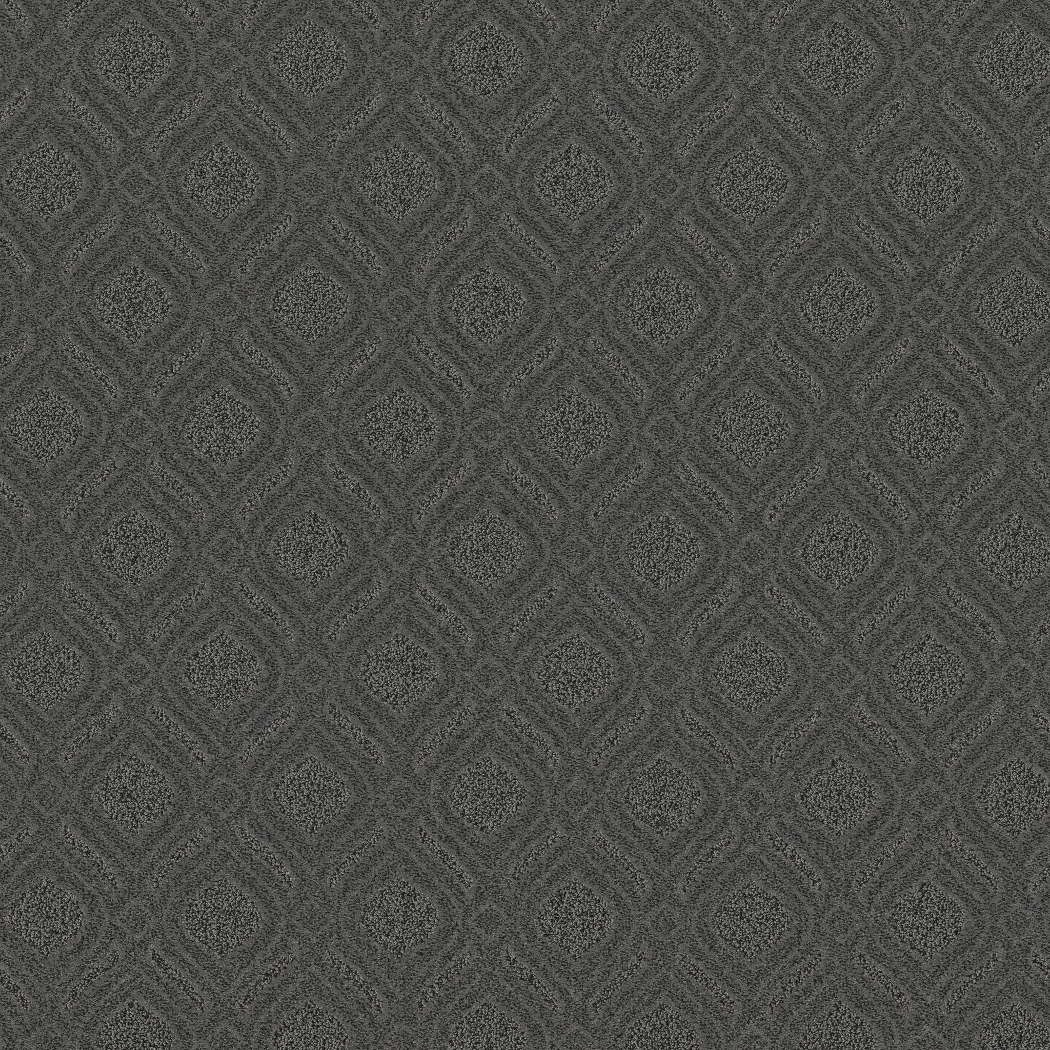 EXPRESSIVE IN THE SHADE MAIN