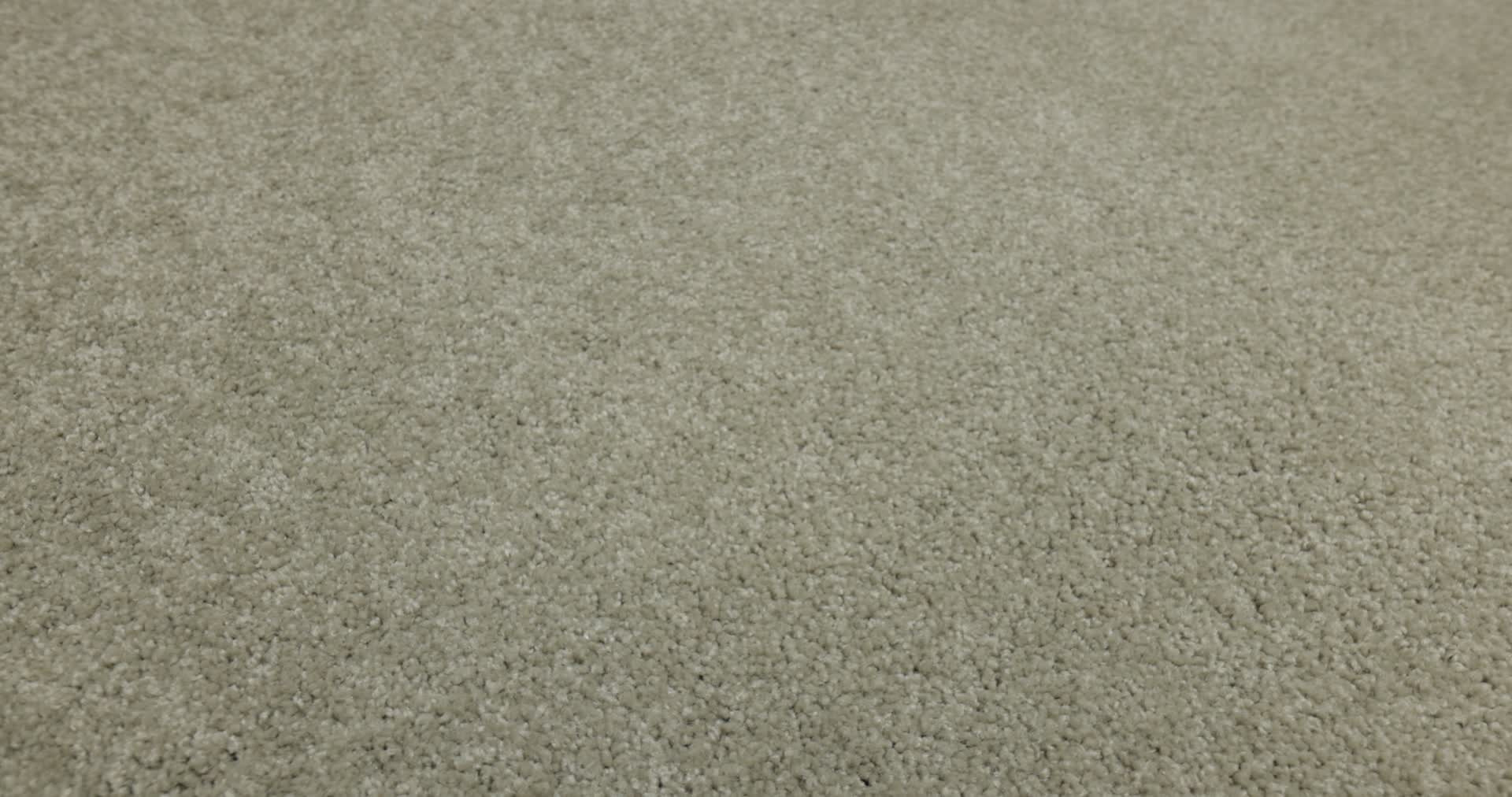 LOYAL BEAUTY III CITY SCAPE 360PROD