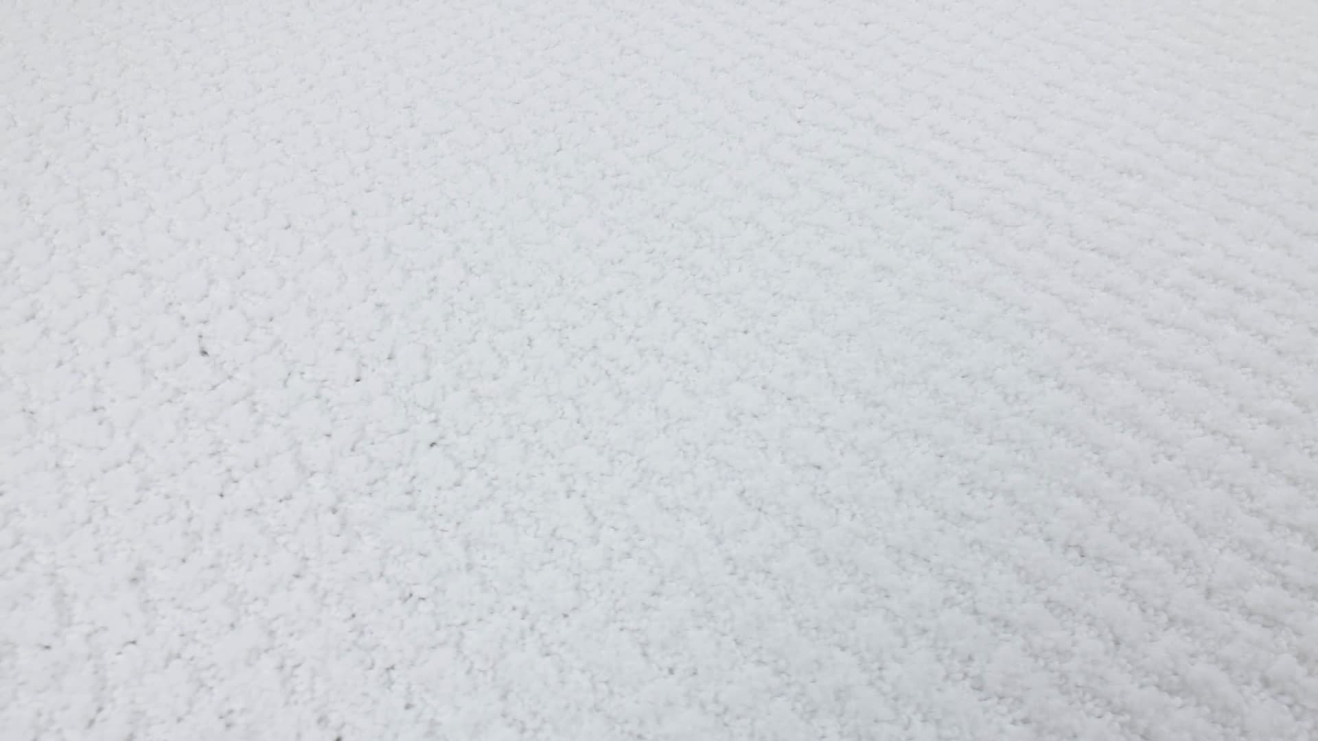 COMPLETE CONTROL WHITE HOT 360PROD