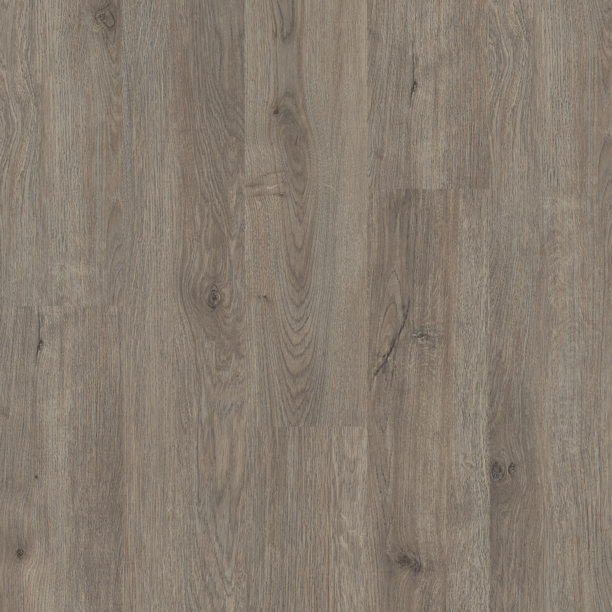 METROPOLIS-6-5M216-CHICAGO-05217-main-image