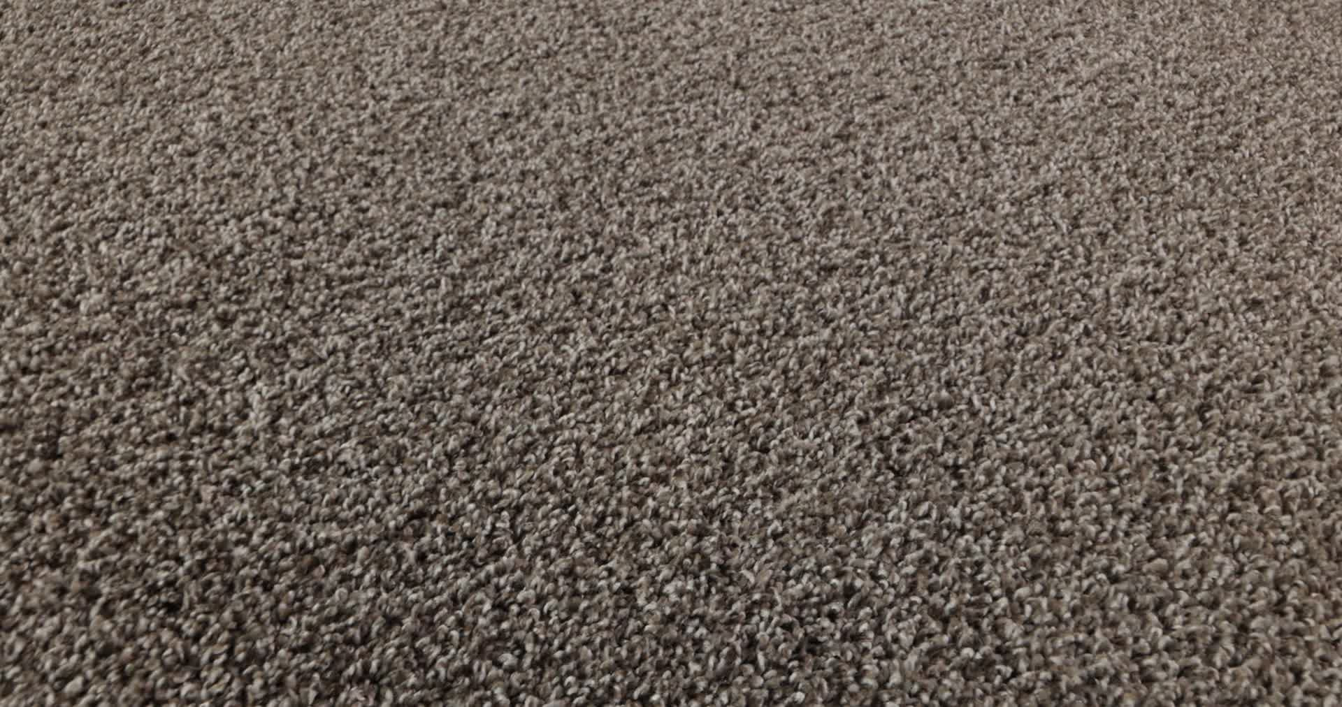 TENACIOUS WIN NATURE TRAIL 360PROD