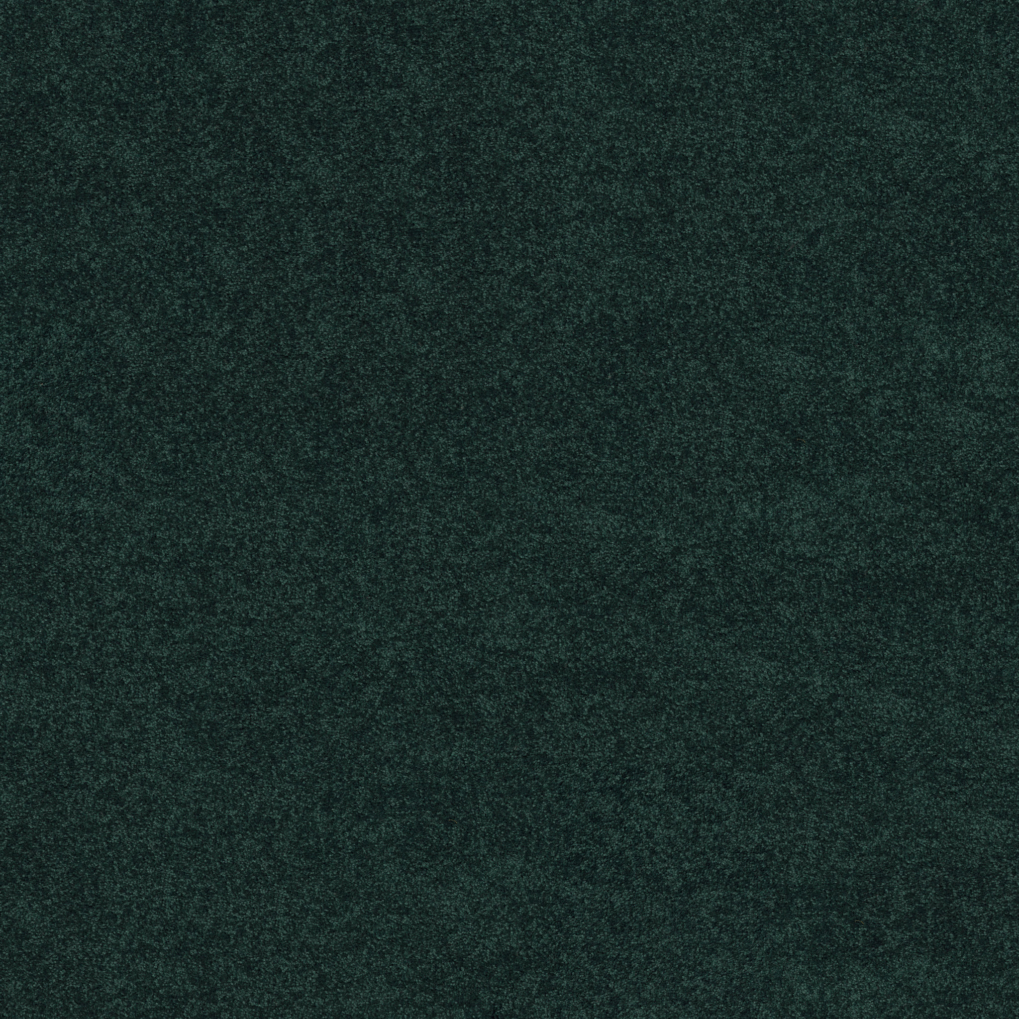 NEWBERN CLASSIC 15' POLO MAIN