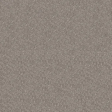 Durable and Comfortable Beige and Gray Patterned Carpet for Home Textured beige and gray patterned carpet swatch for everyday comfort and durability