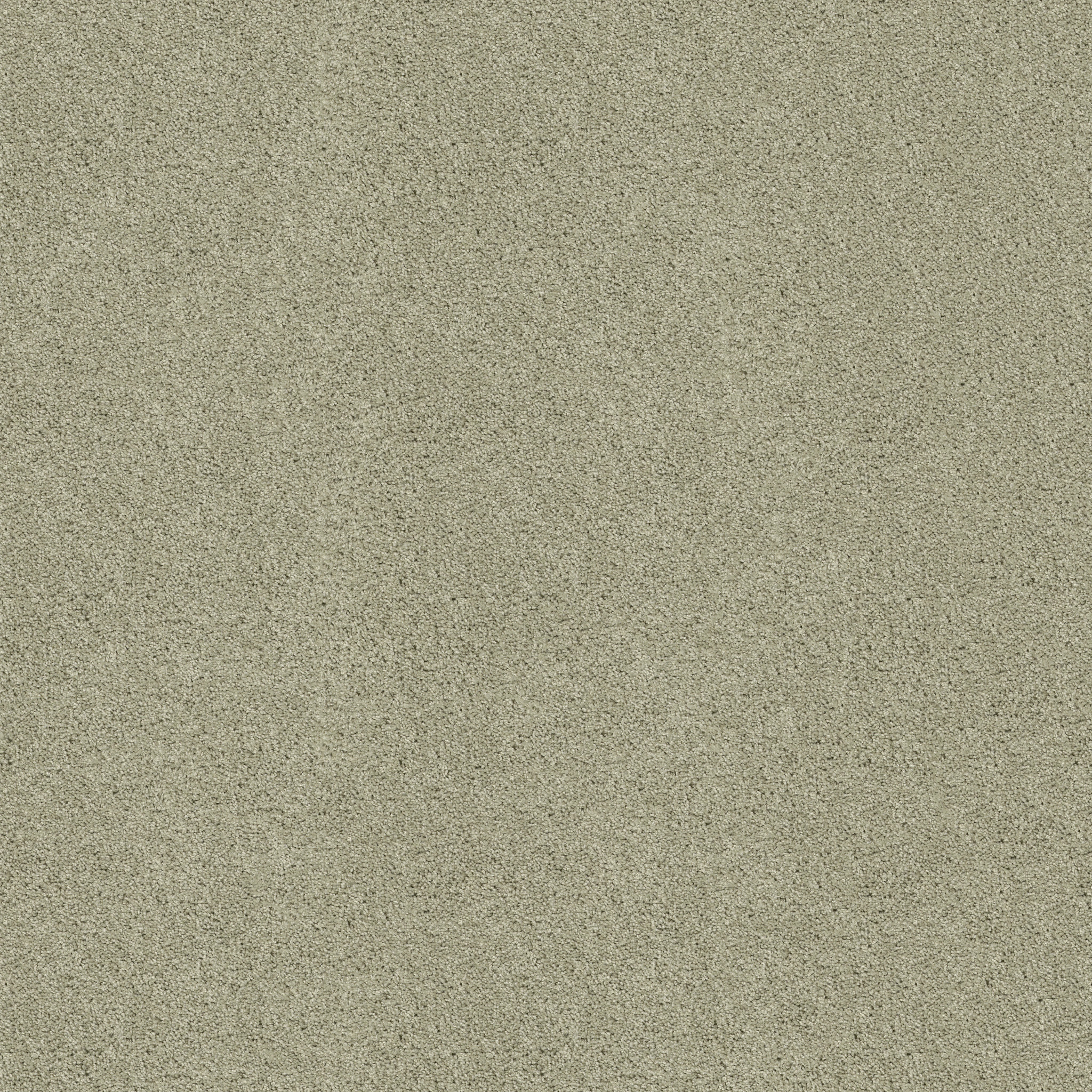 BEST BASICS HAVEN MAIN