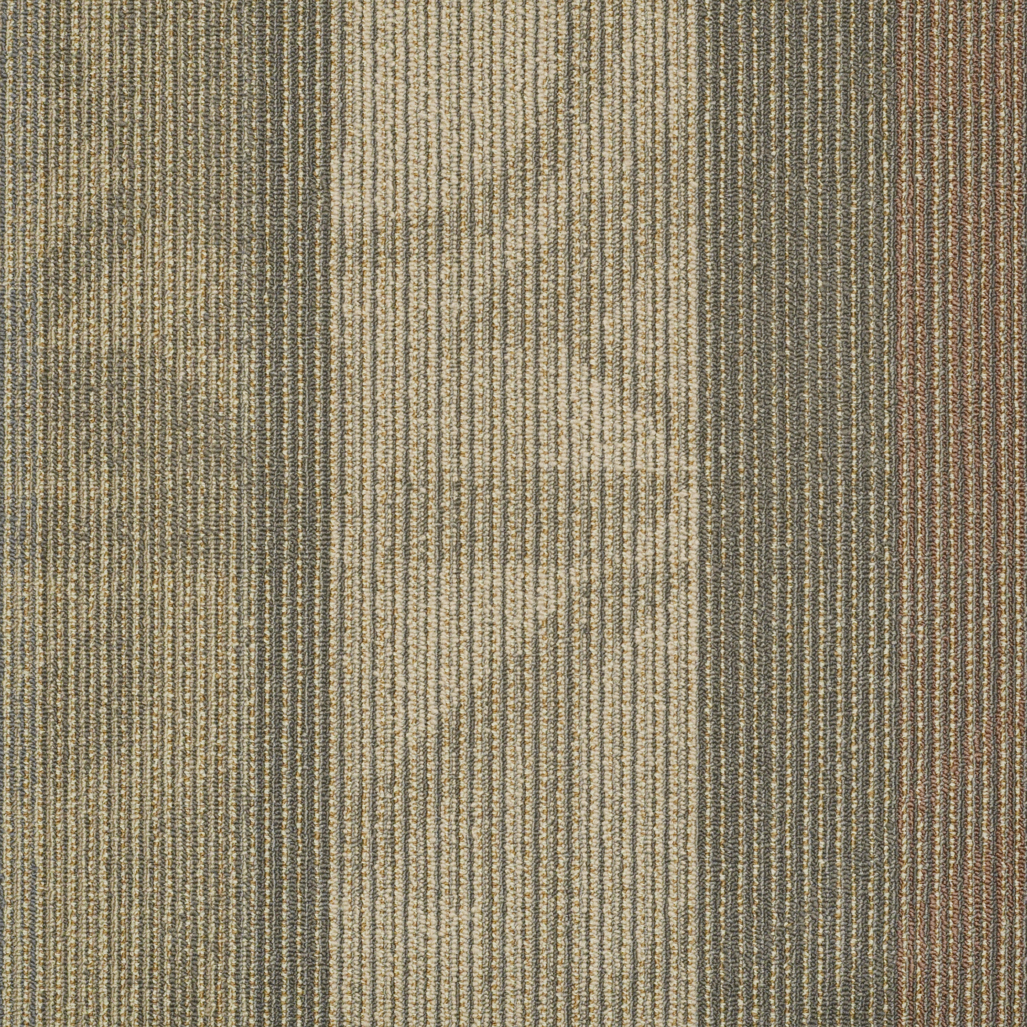 FEEDBACK-54565-RECEIVER-00103-main-image