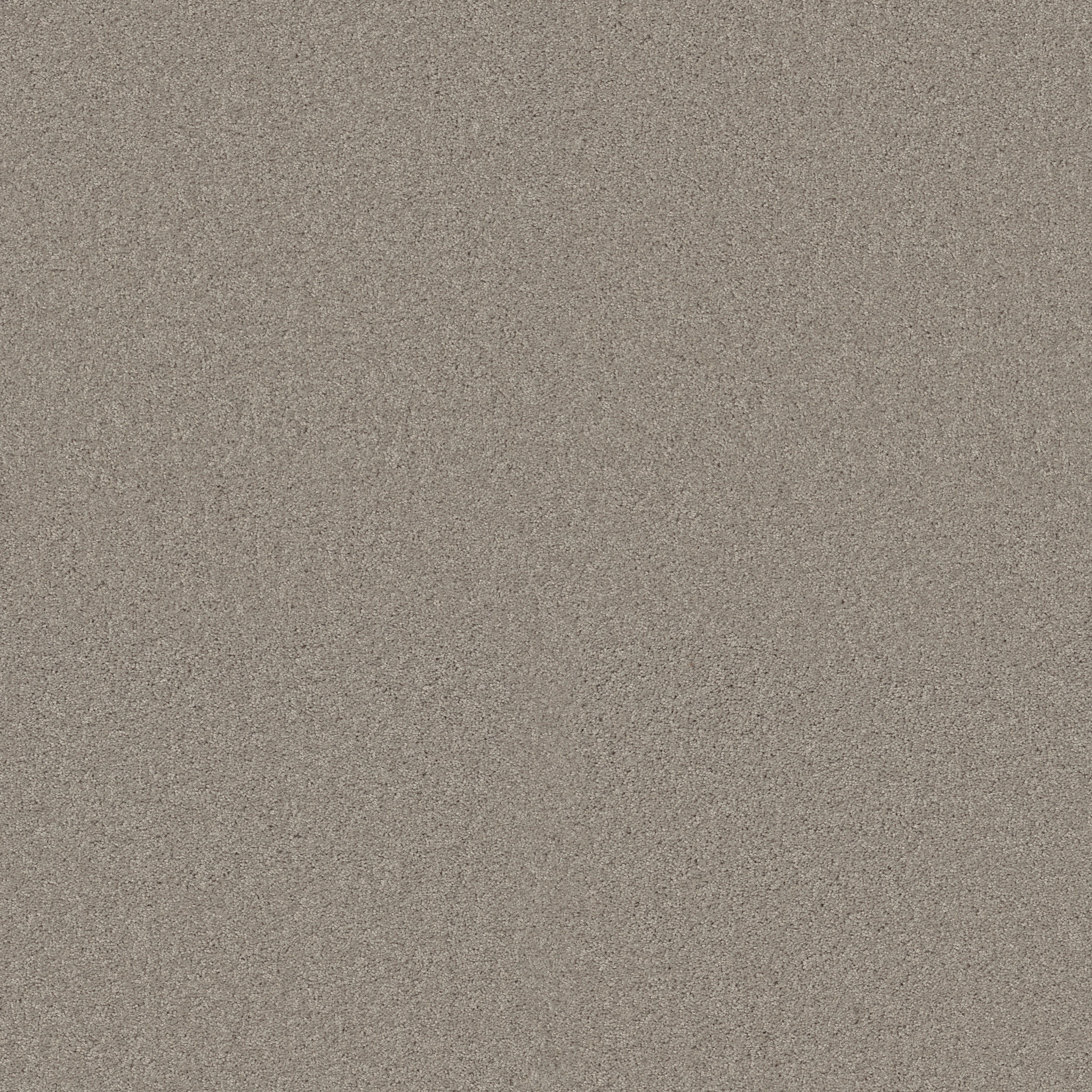 MY CHOICE I TEXTURED CANVAS MAIN