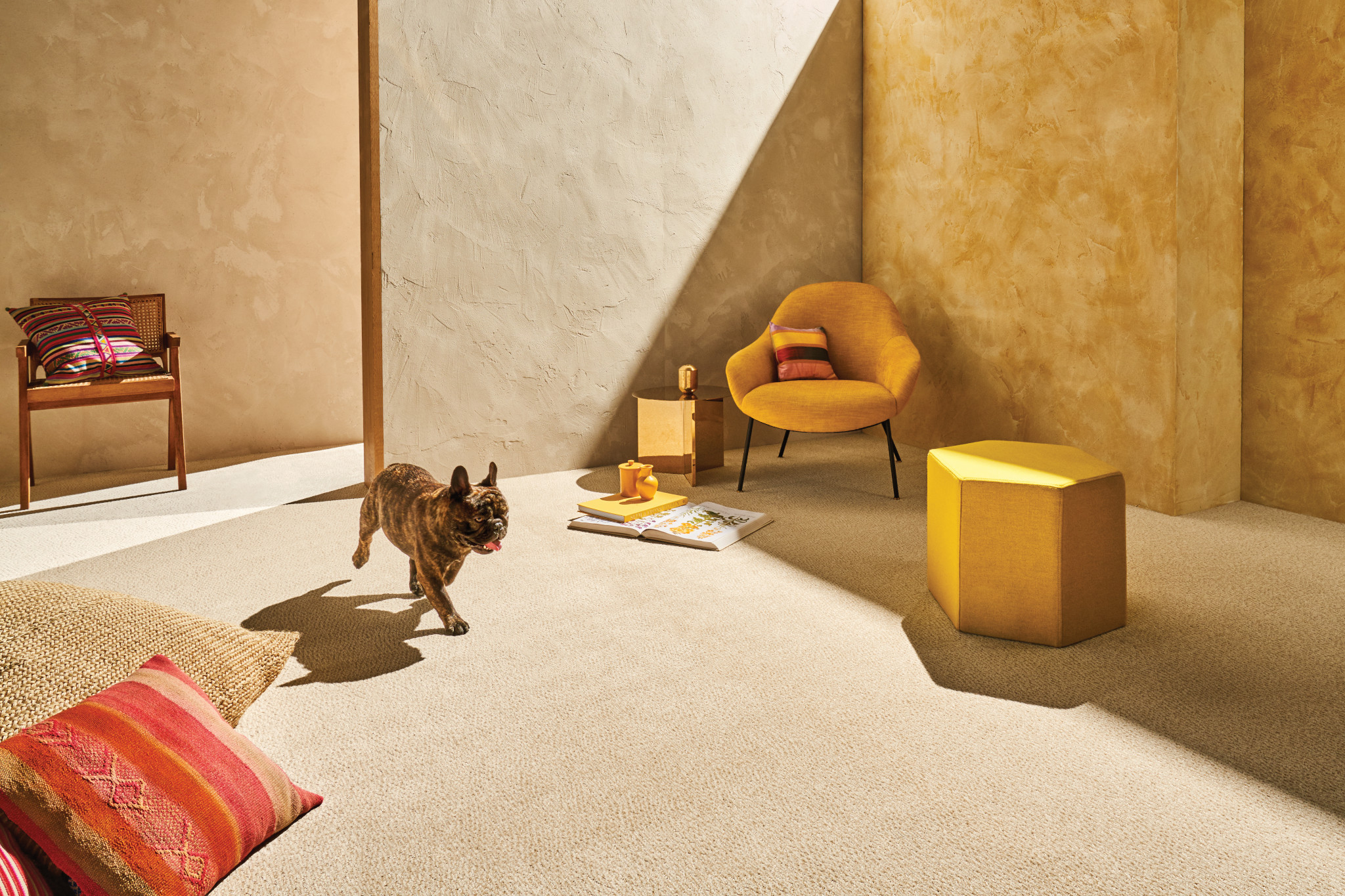 FUR-EVER OLD COUNTRY StaticImage01