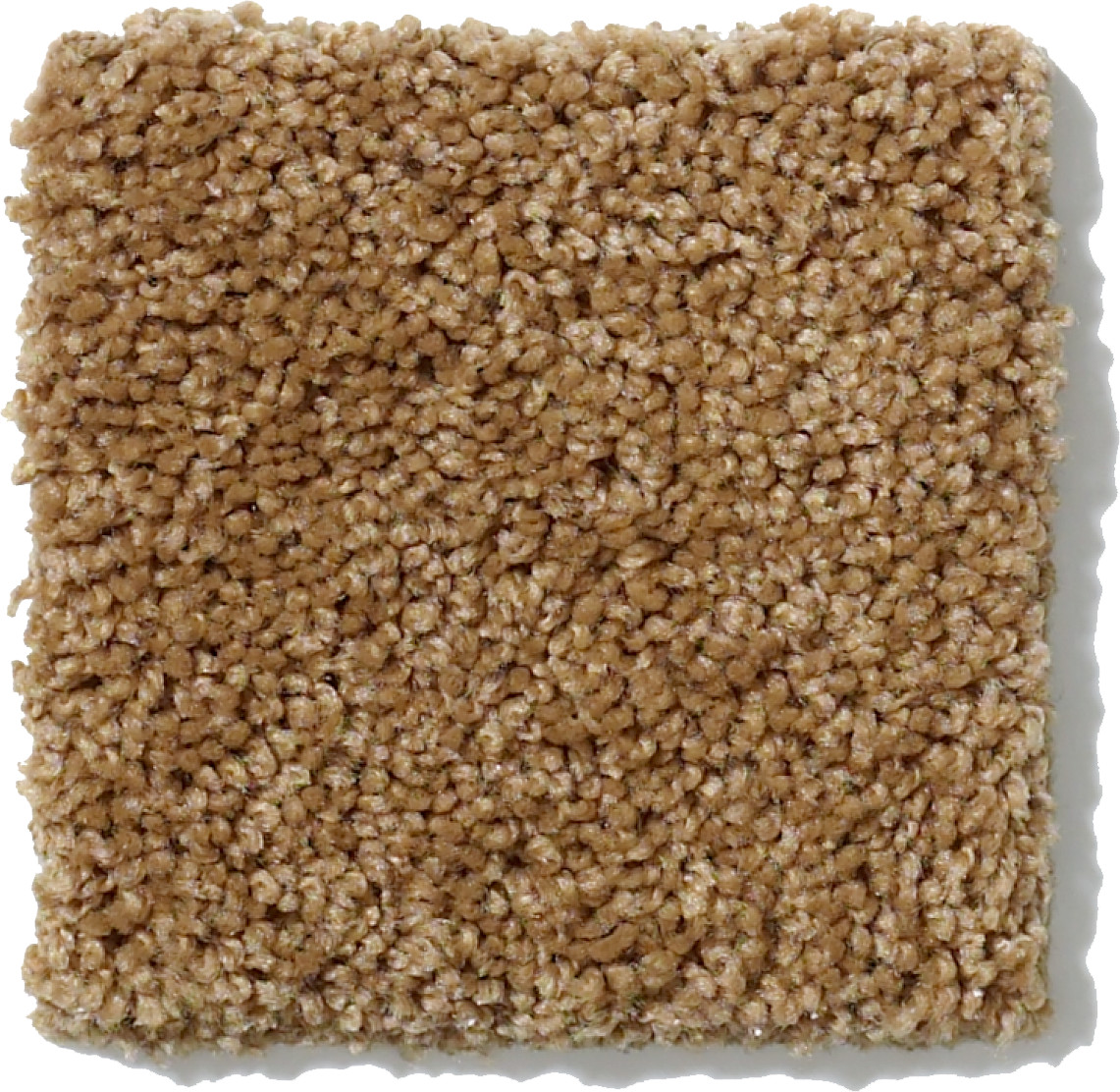 BEST BASICS LEATHER BOUND SWATCH