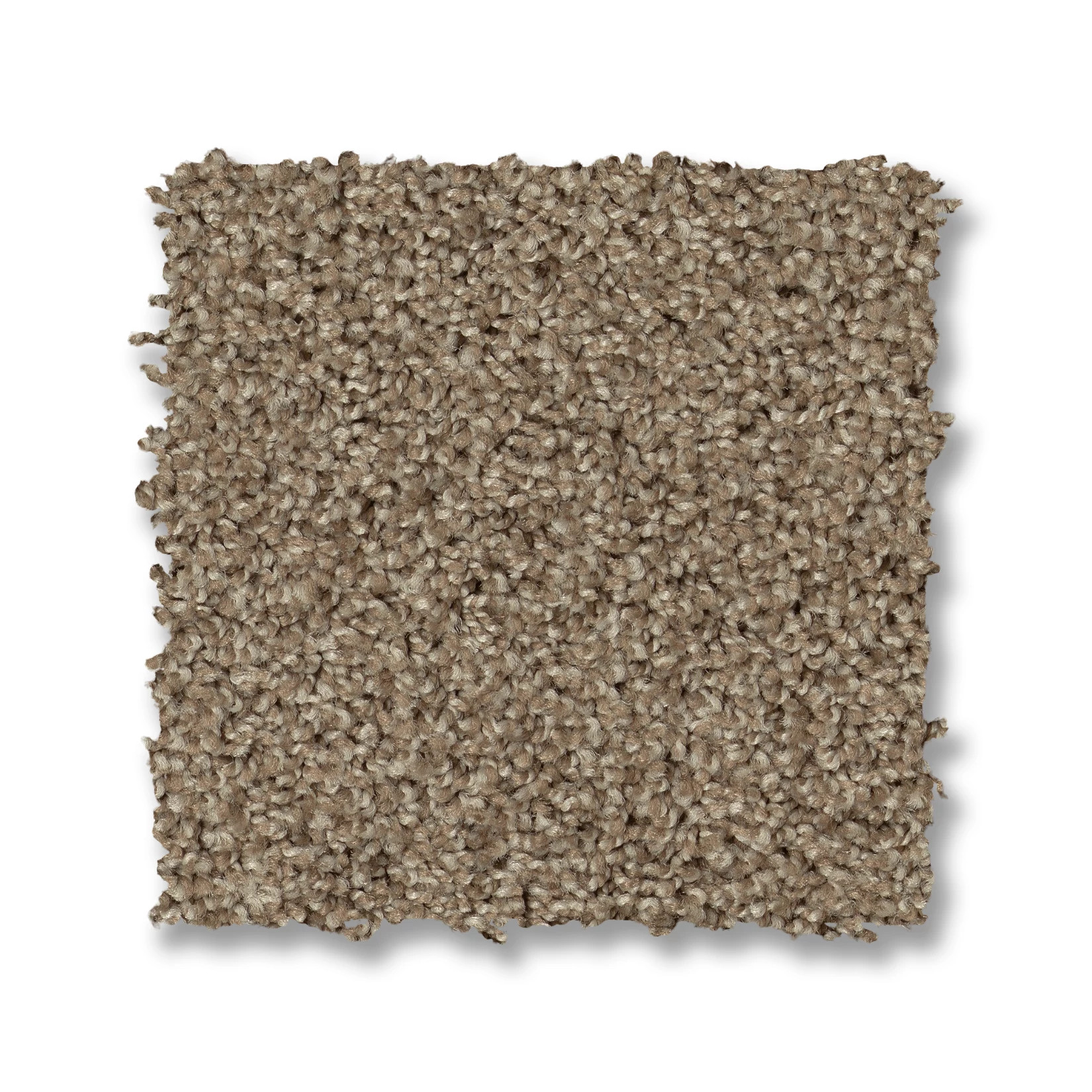 ACADIA PARK CARIBOU SWATCH