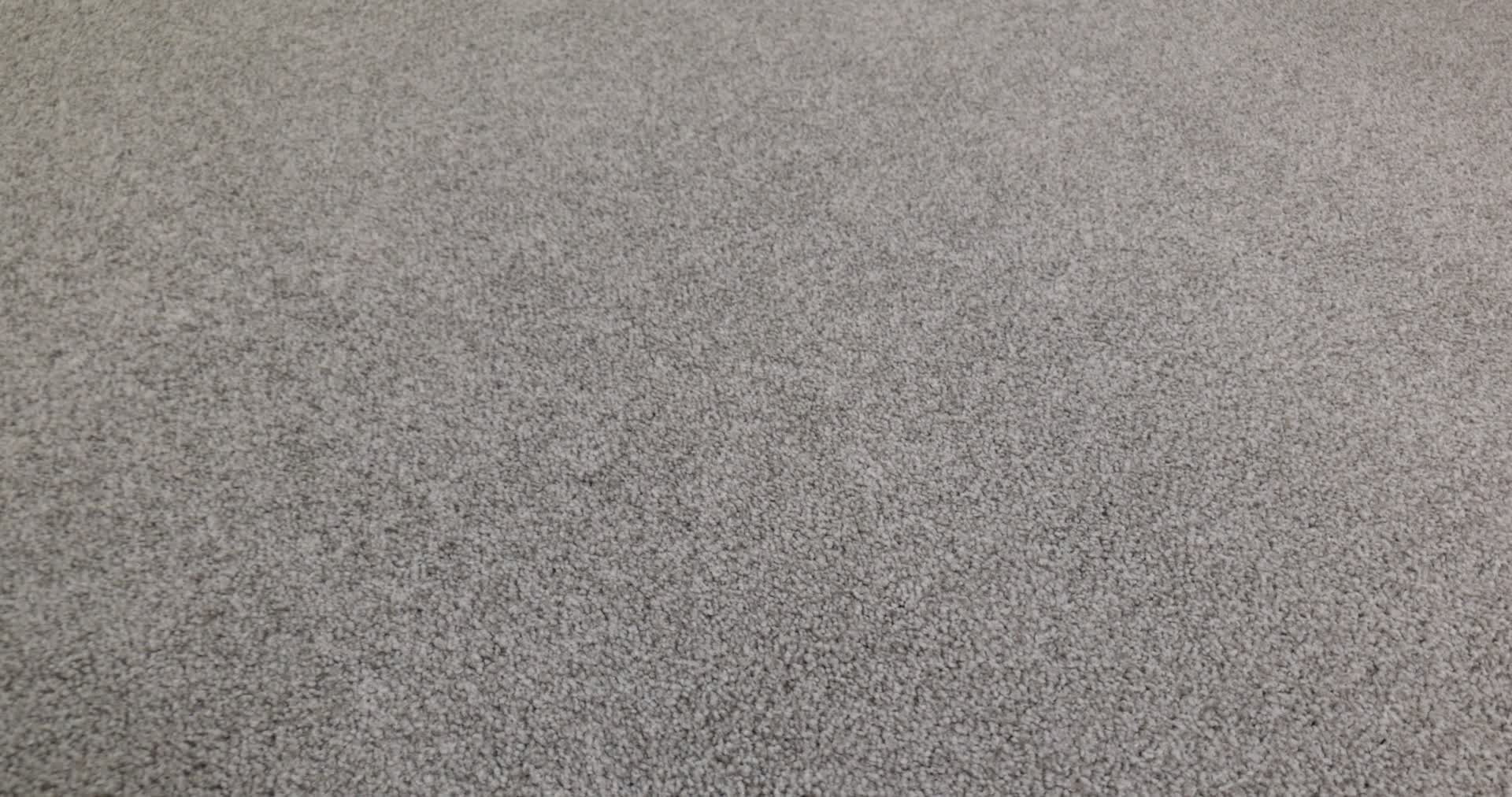 HARMONIOUS II GREY FOX 360PROD