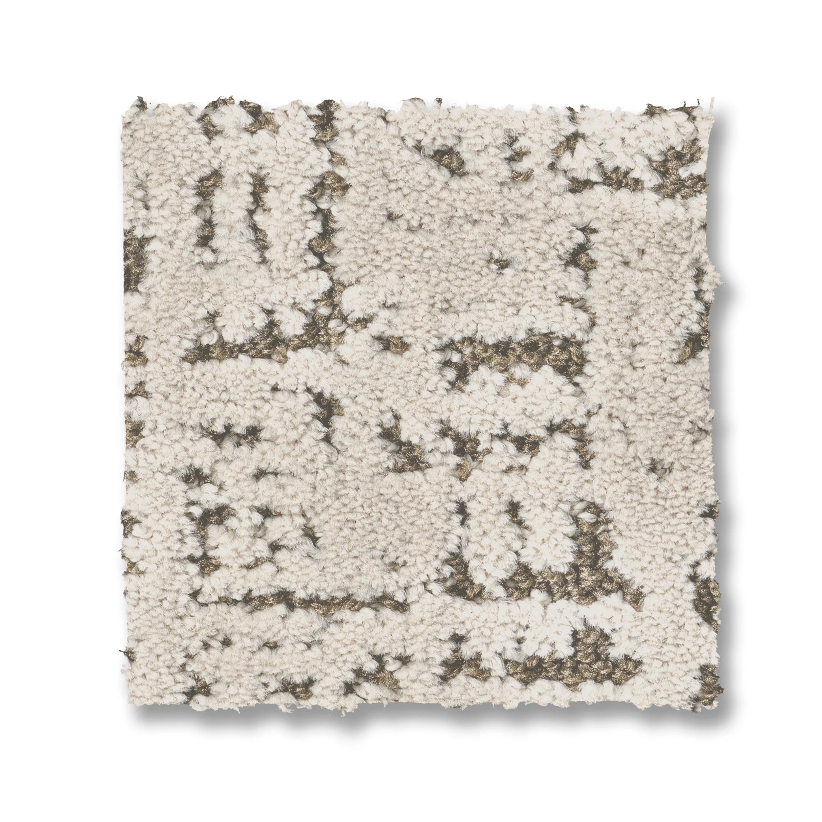 ADAIR SPECIAL OCCASION SWATCH