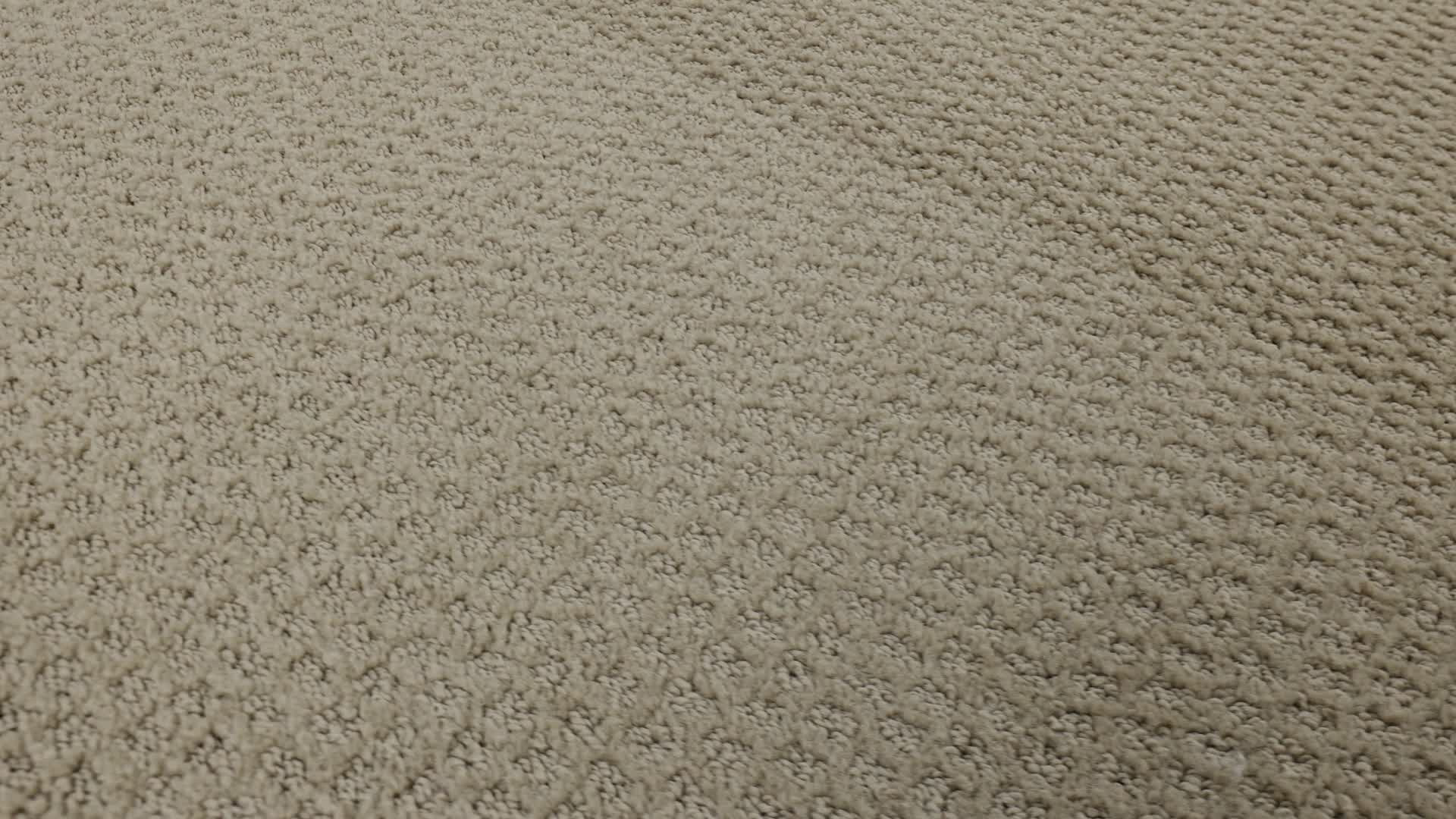 PACIFIC TRAILS MUSHROOM 360PROD