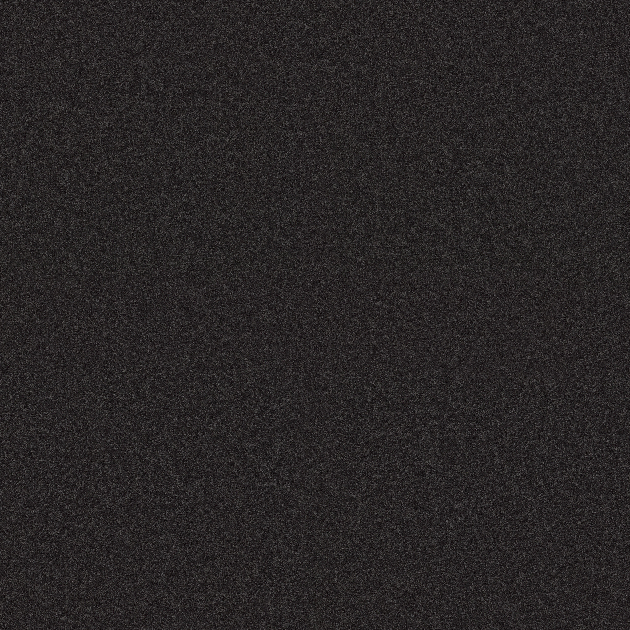 Find your comfort I - Solid MOVIE NIGHT (S) MAIN