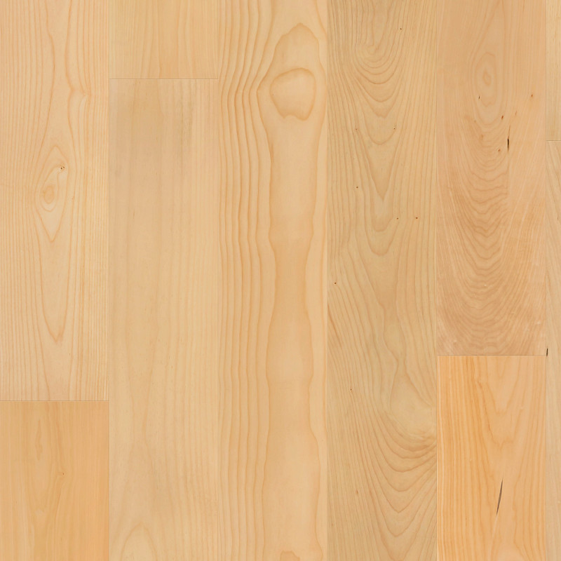 NATURAL CLASSICS HARD MAPLE 7" in Natural Hard Maple by Shaw Floors