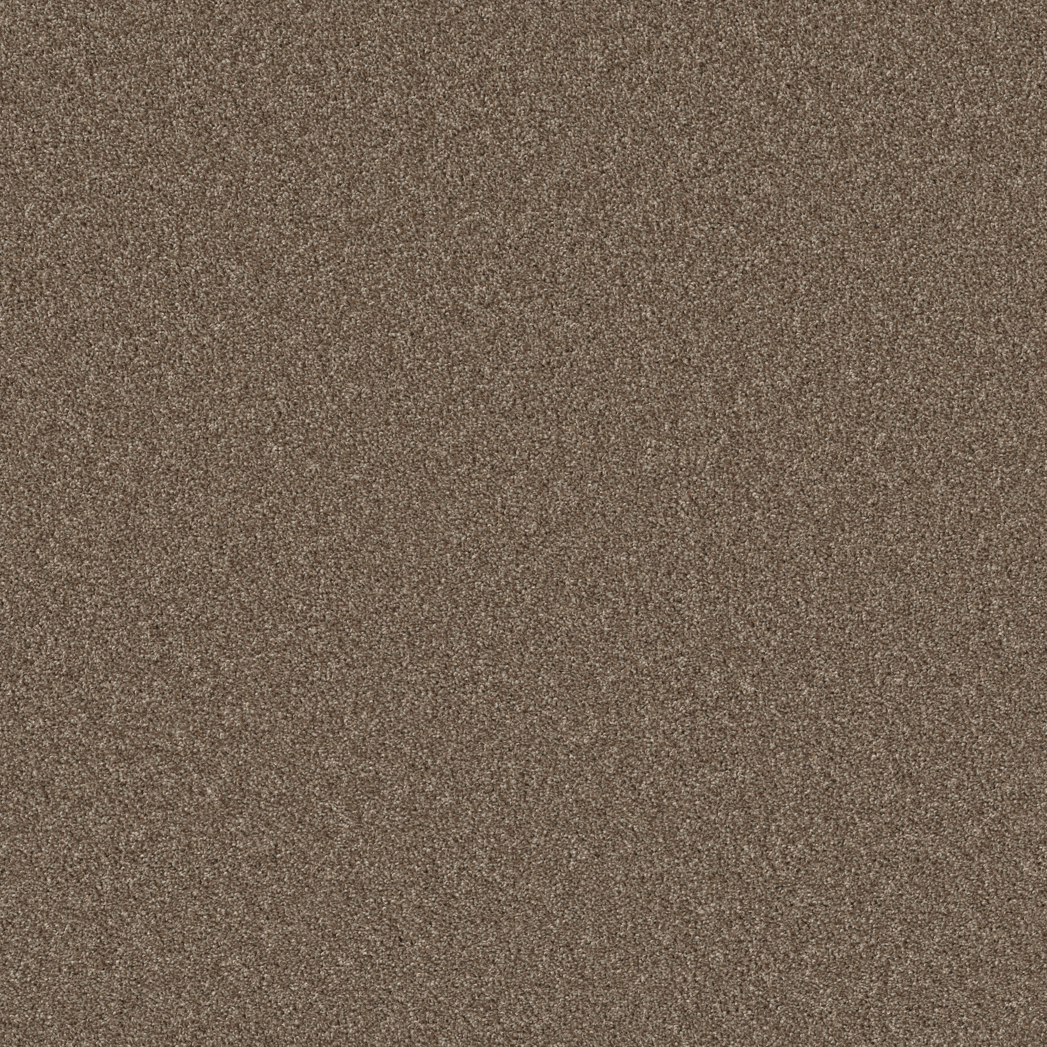 AGILITY ROASTED COFFEE MAIN