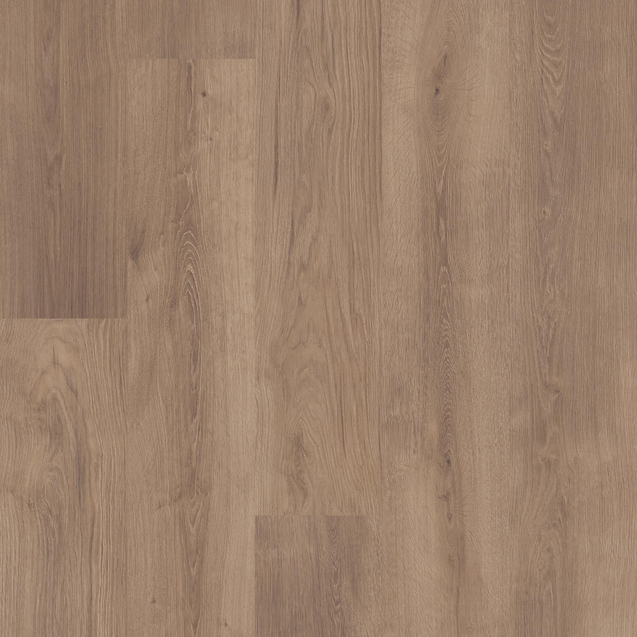 Komondor in Smokey Taupe