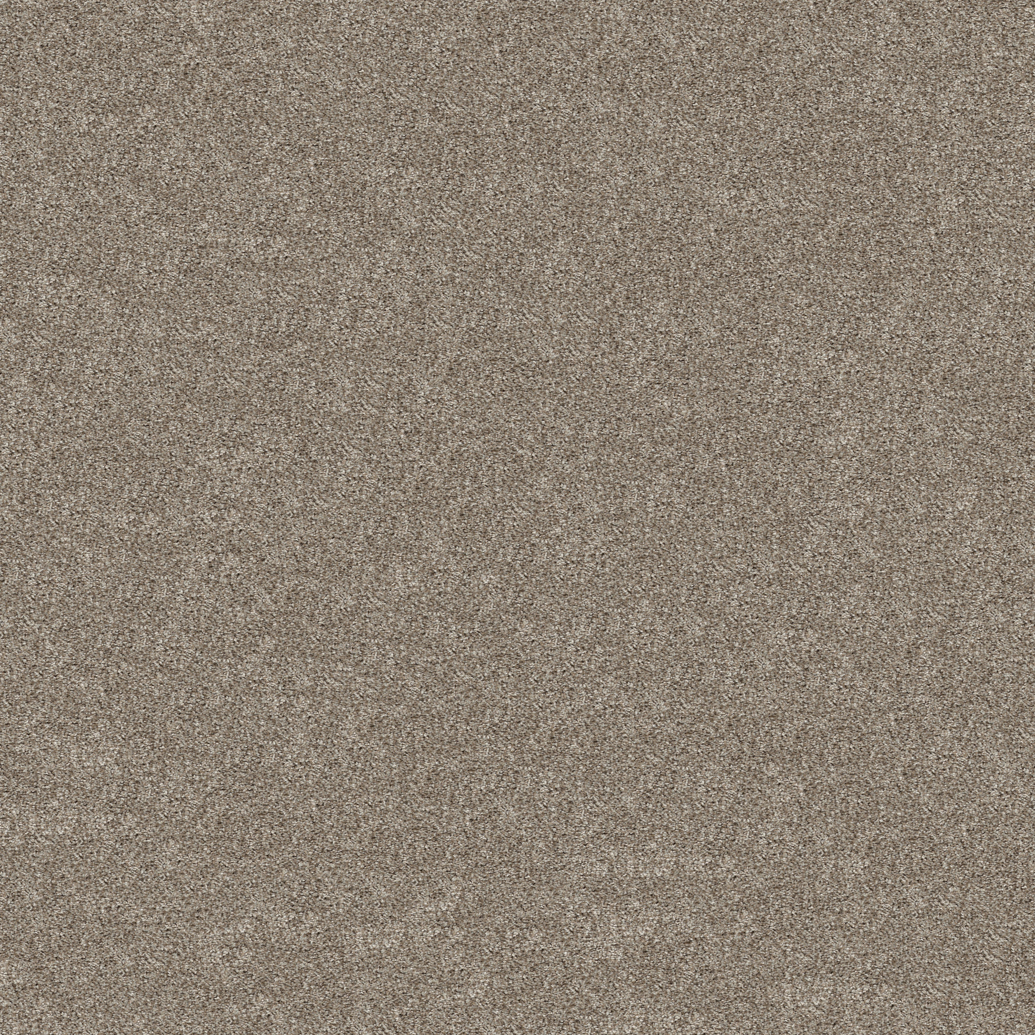 GRAND OUTLOOK CAMEO MAIN