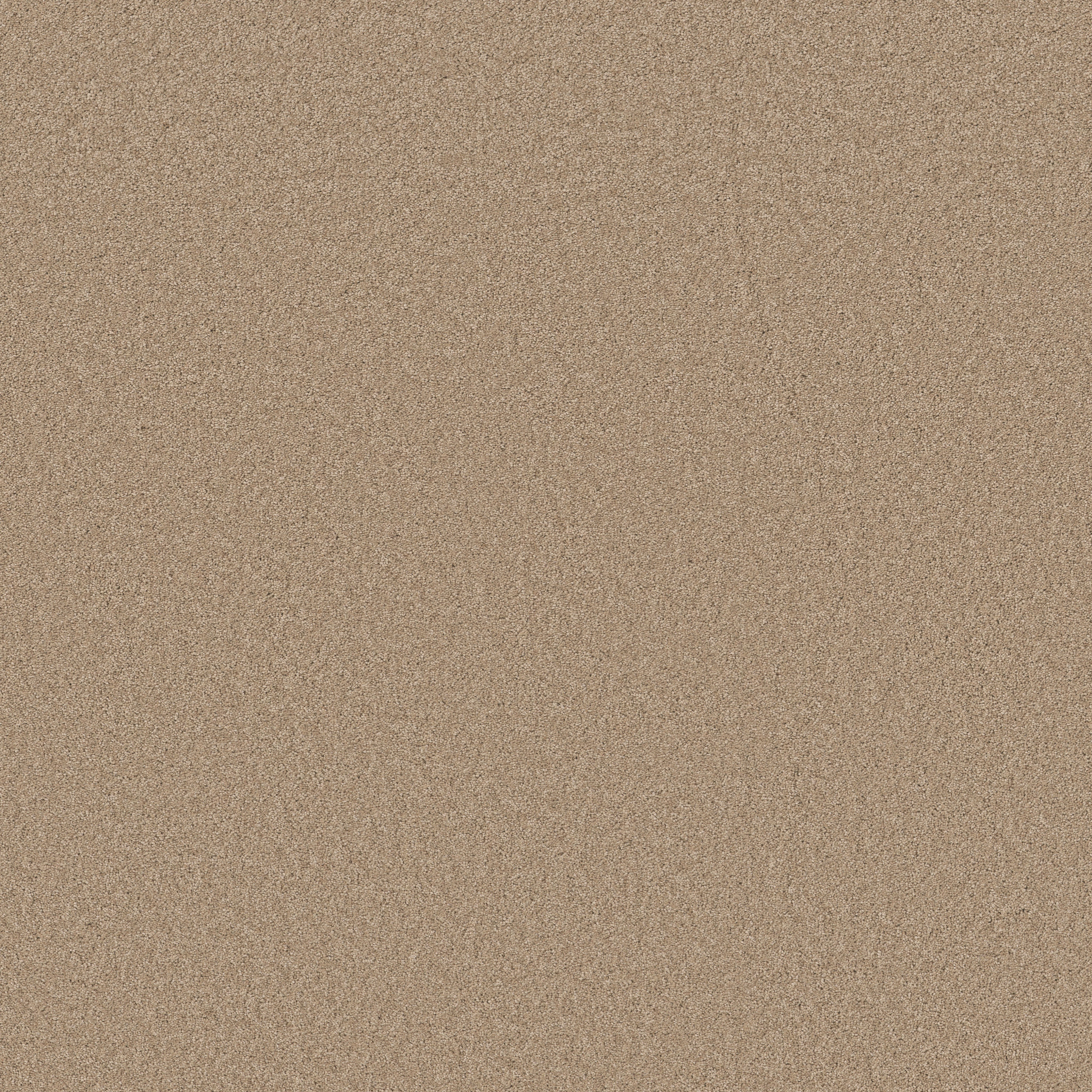 ELEGANT BEAUTY WARM SAND MAIN