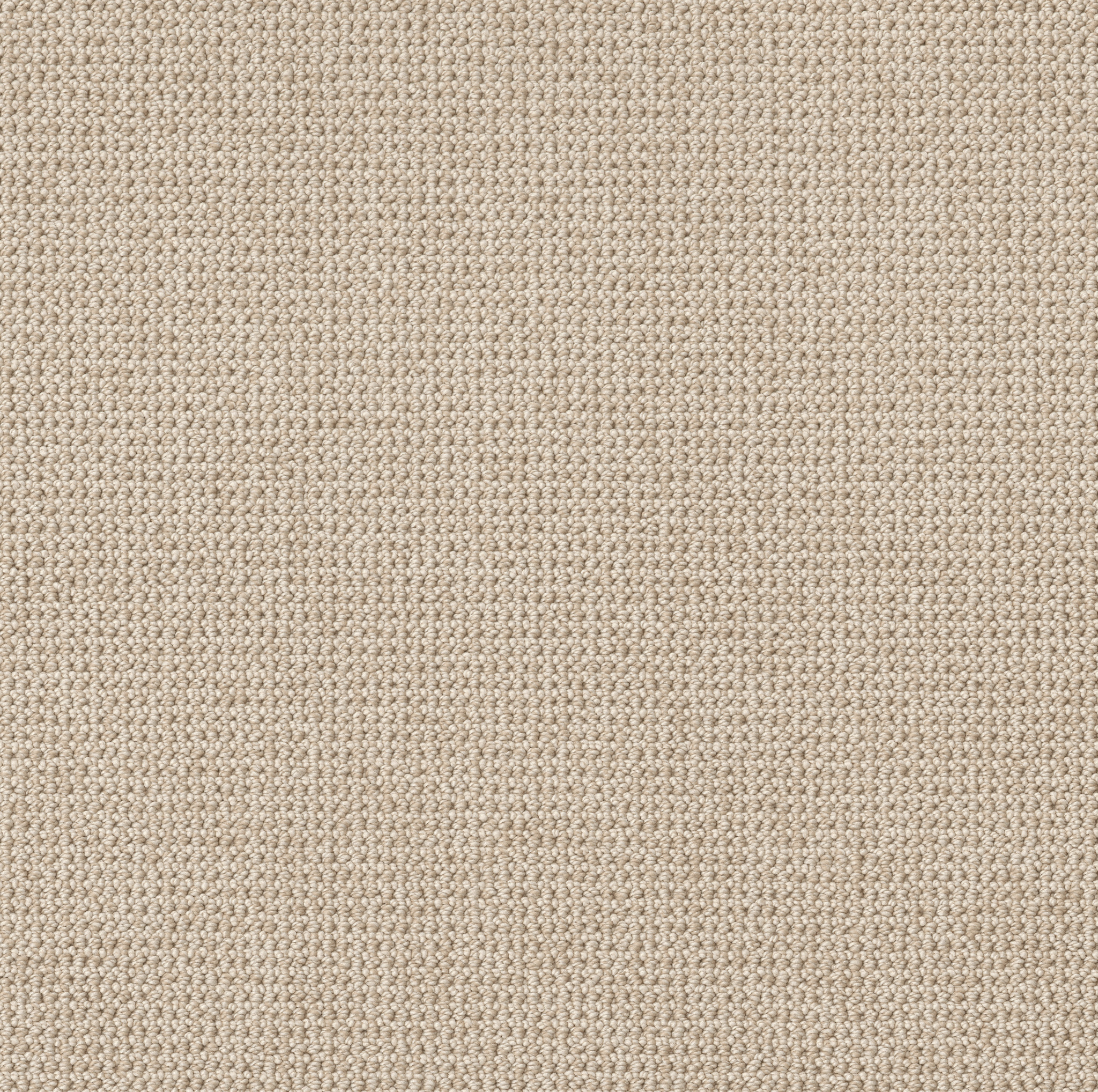 PURRFECTION MATCHSTICK MAIN