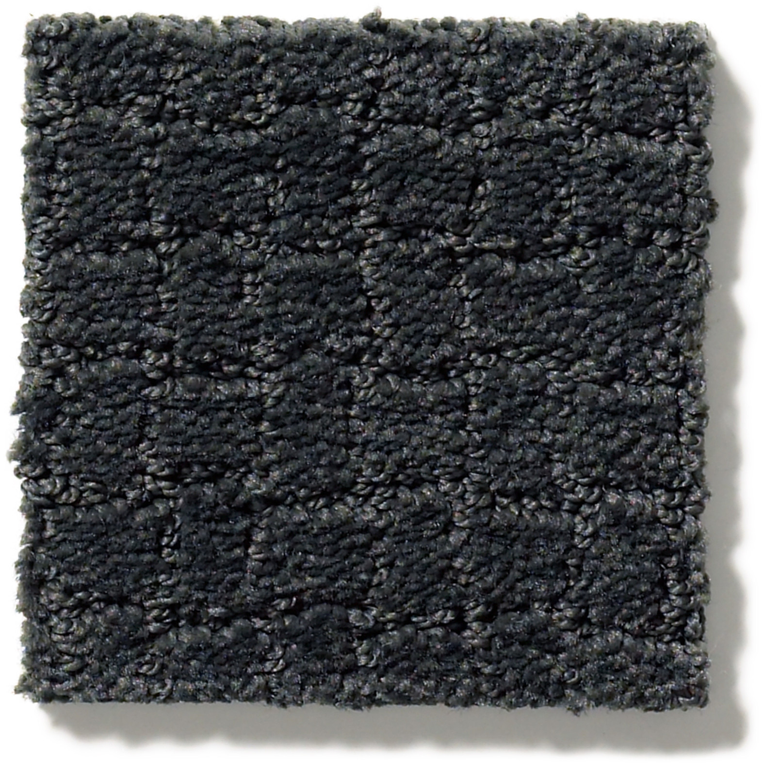 PAWSTRUCK NIGHT SHADE SWATCH