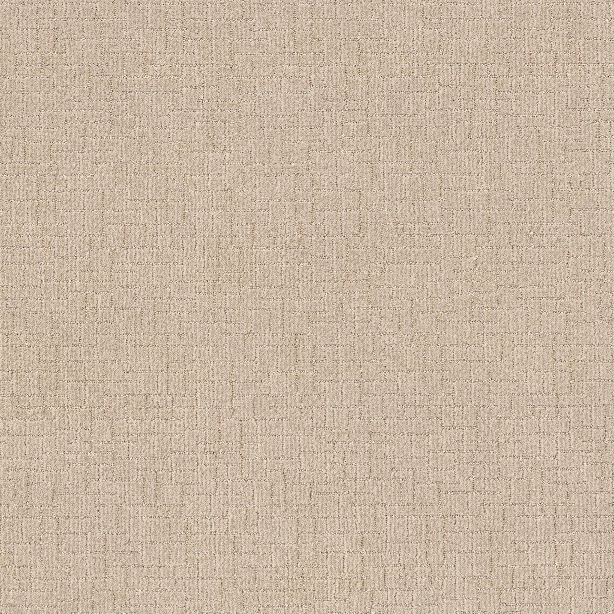 WAYFARER COTTON TAIL MAIN