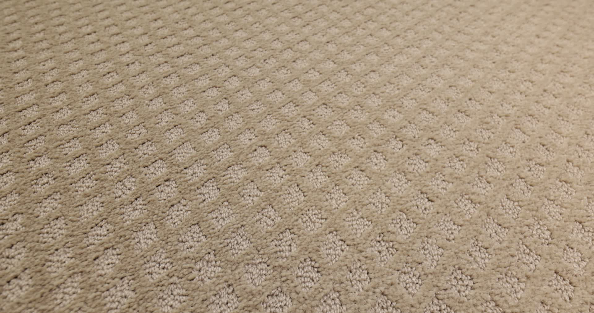 PADOVA MUSHROOM 360PROD