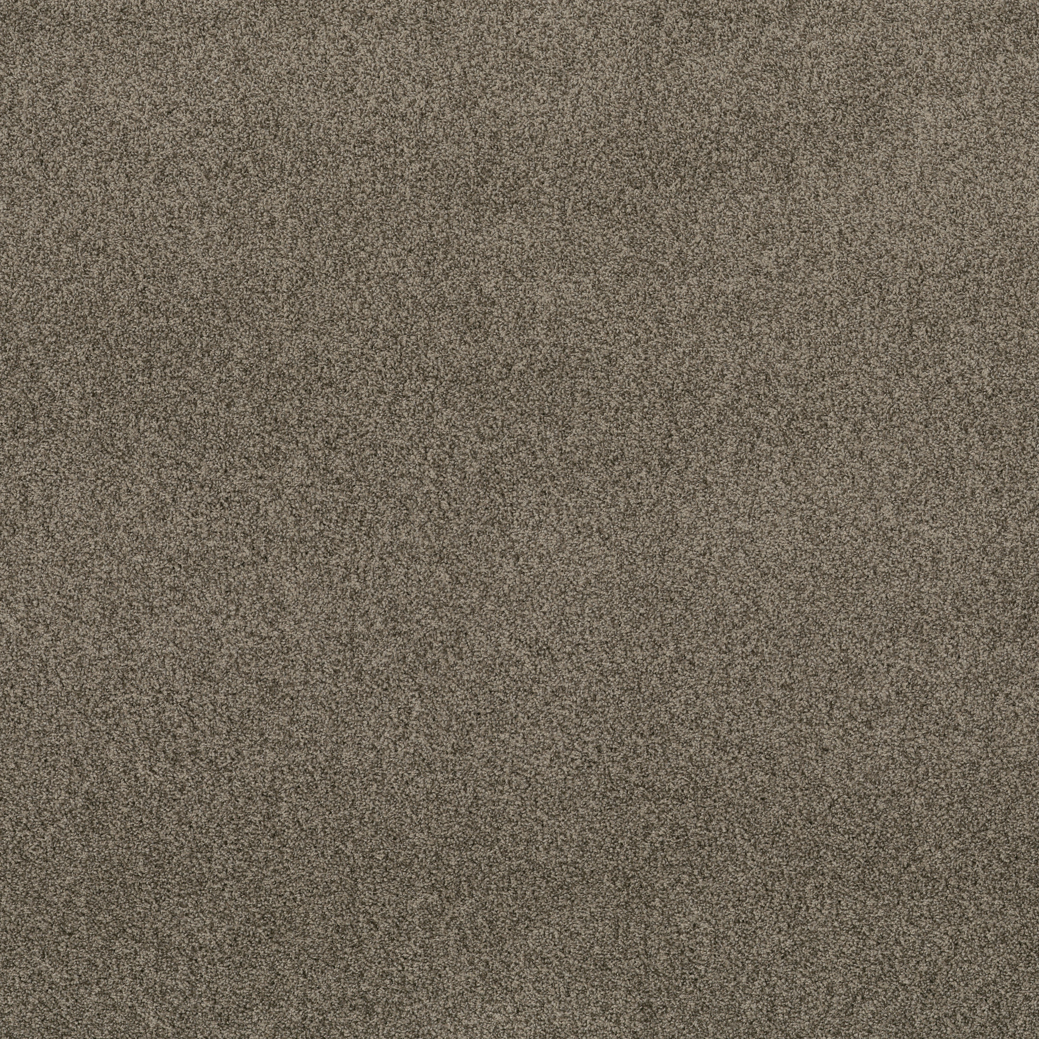 VIA NOVA ARROWHEAD MAIN