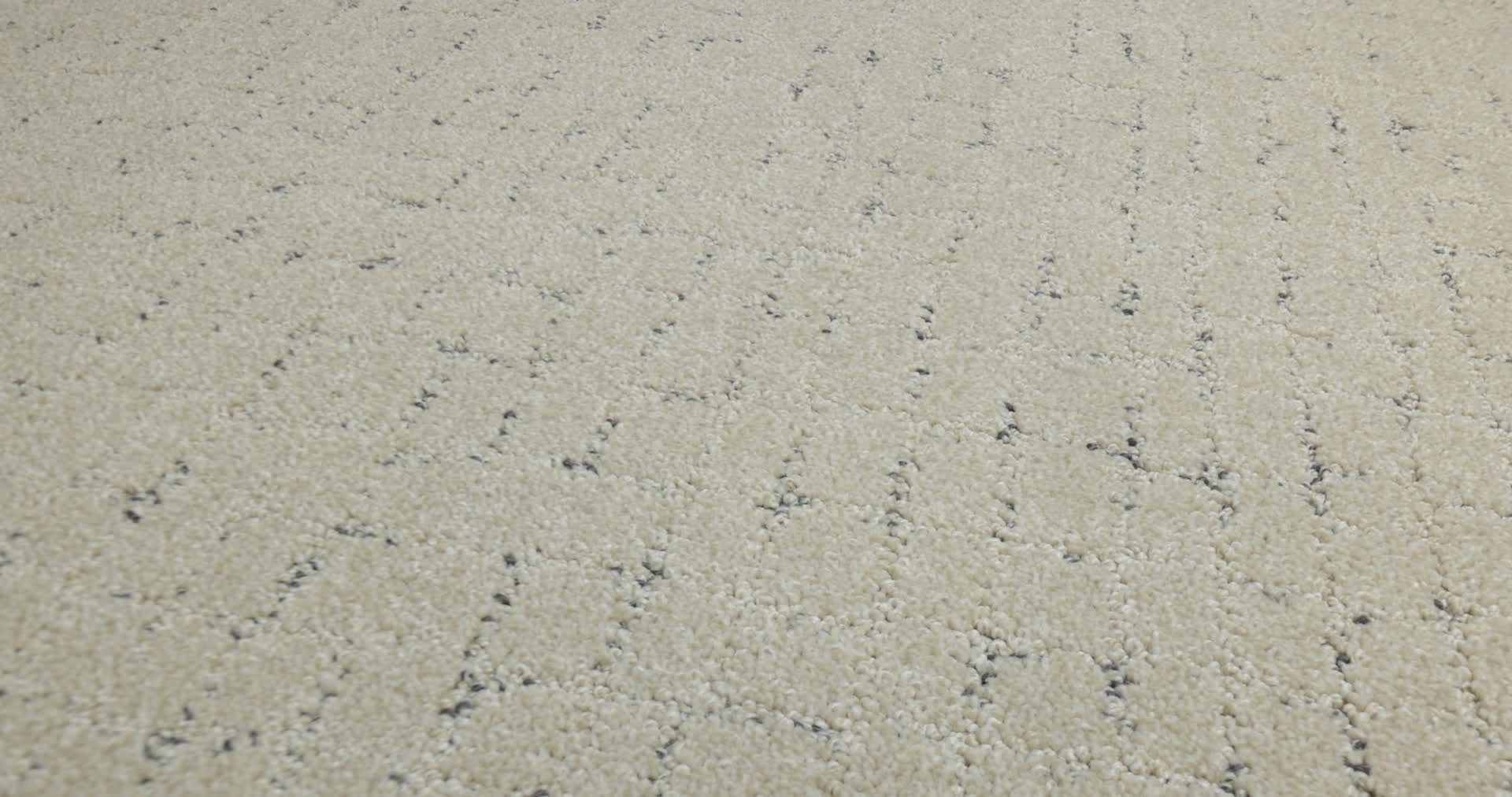 BLOCK PARTY WARM LIGHT 360PROD