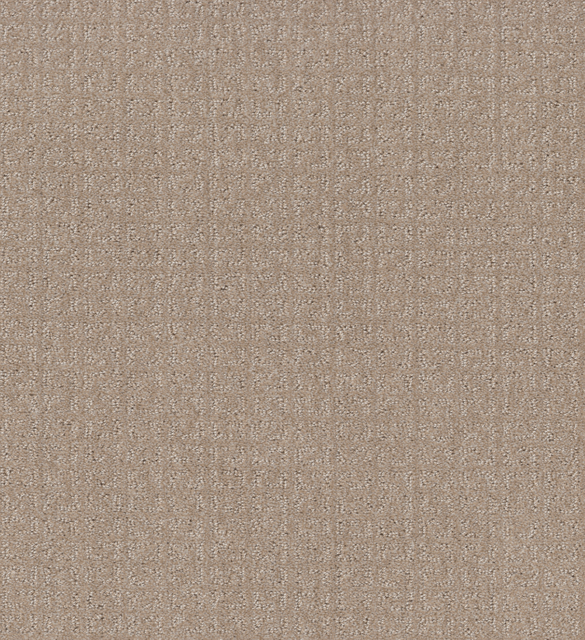 TRANSFORM FRESH BAKED MAIN