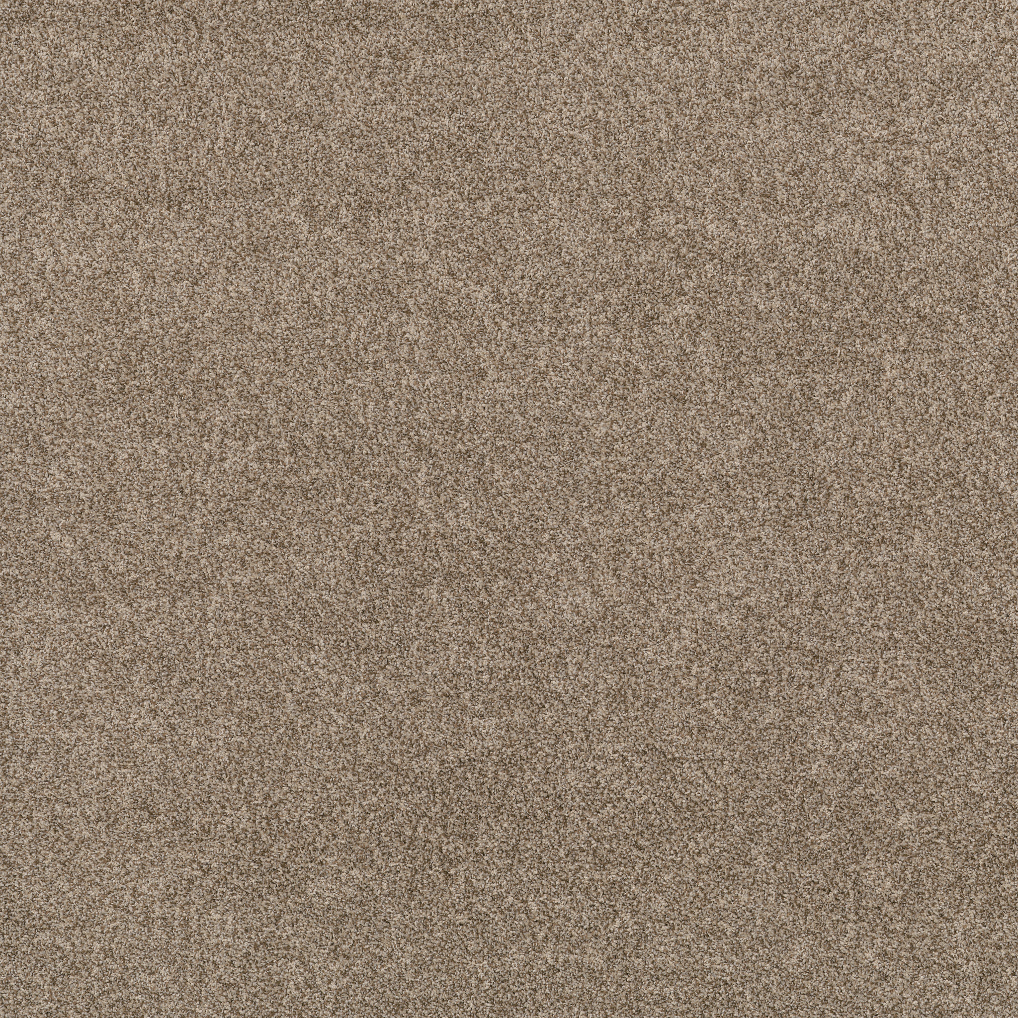 VIA NOVA ROASTED MAIN