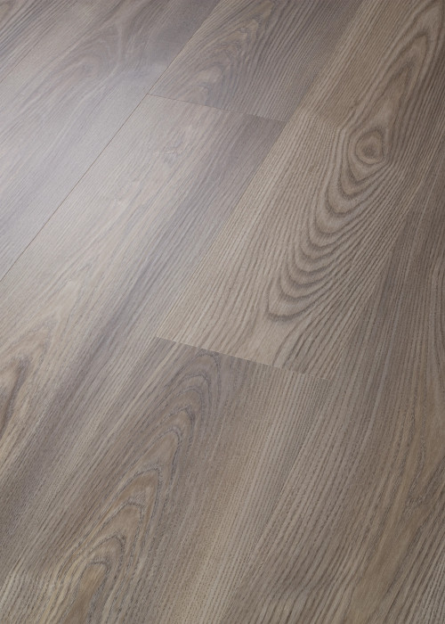 Grey Chestnut