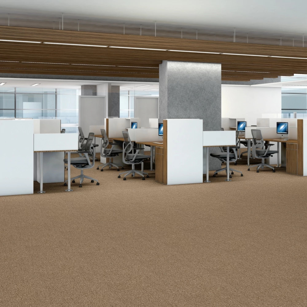 MULTIPLICITY-18X36-54815-PLETHORA-00105-room-image