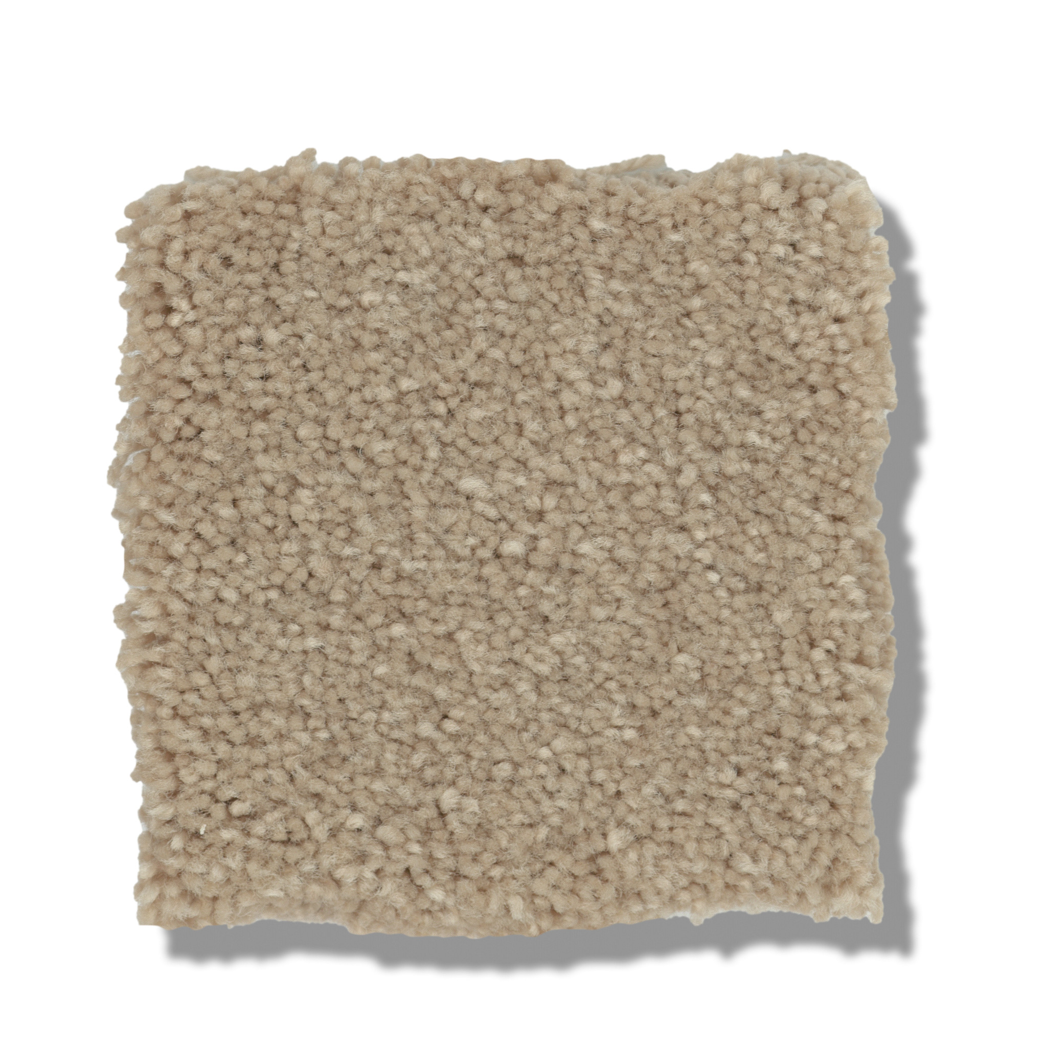 WELL GROUNDED II 15 RAW LUMBER SWATCH