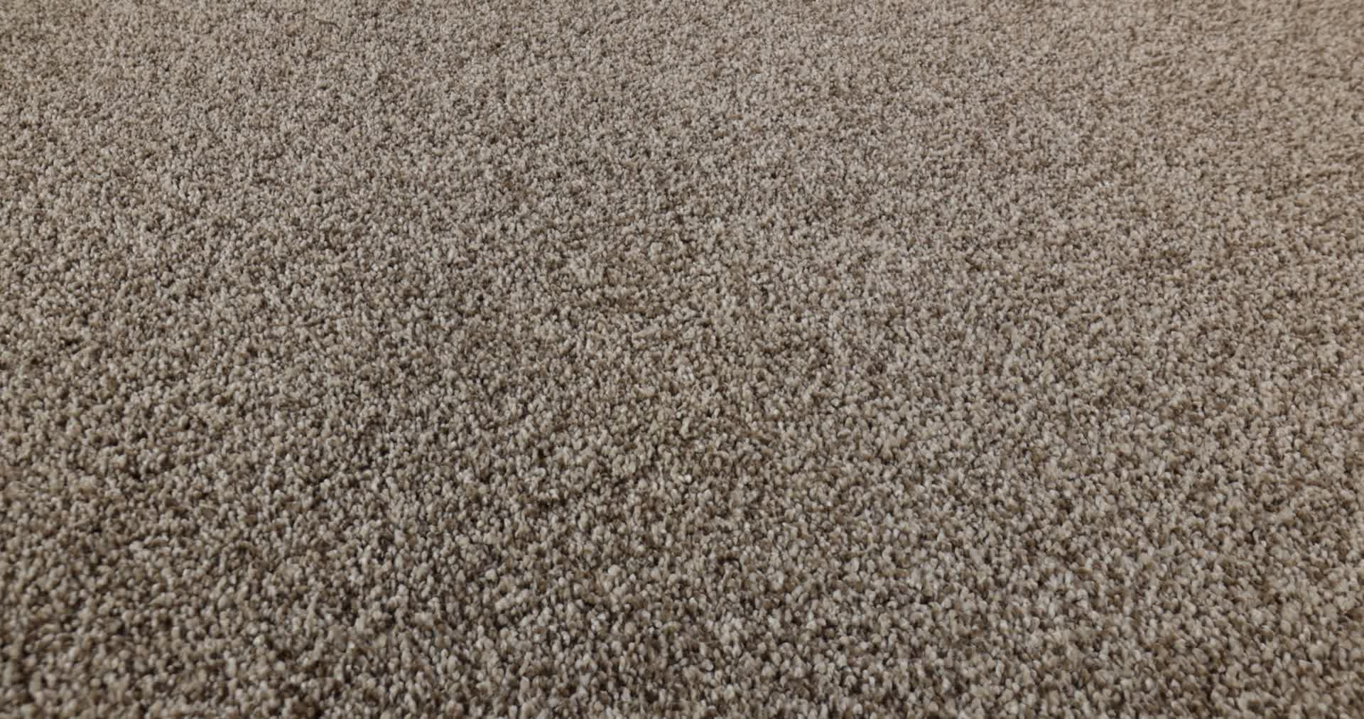 ARTISTIC FUSION I CAMEO 360PROD