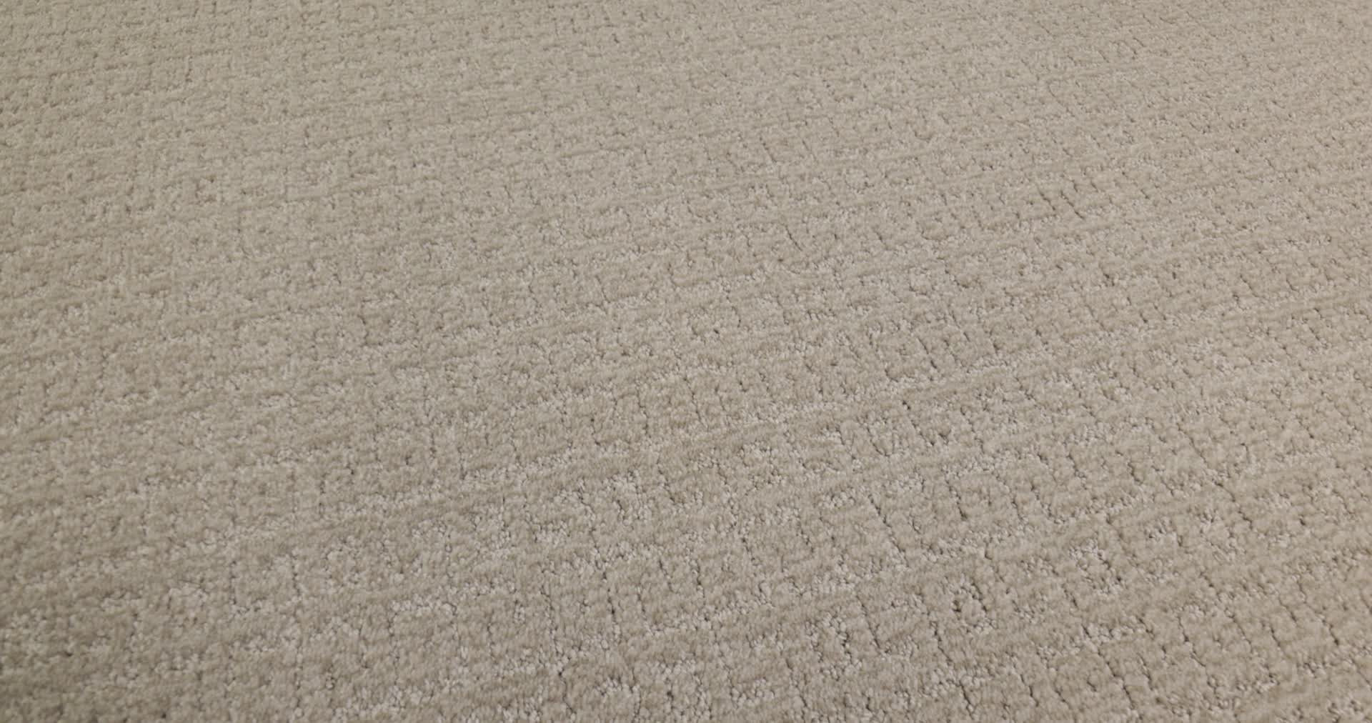 VIGNETTE GREIGE 360PROD