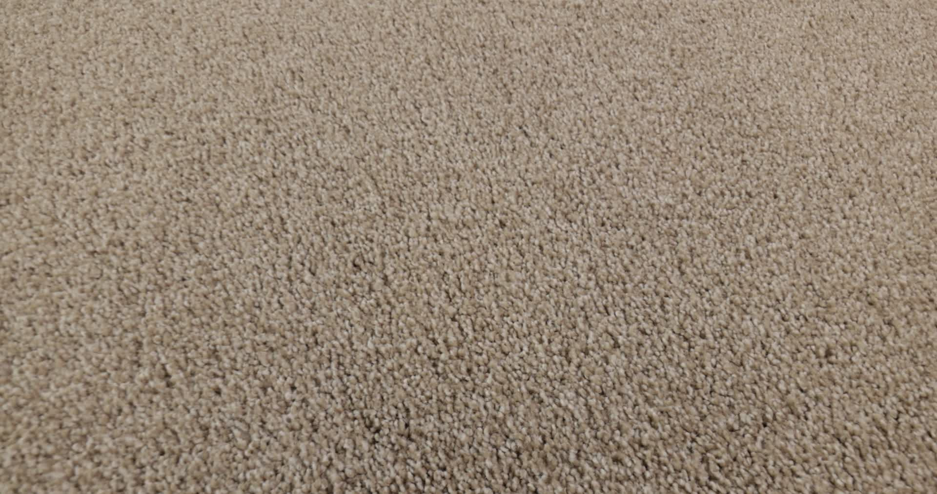 MAJORITY RULES DOESKIN 360PROD