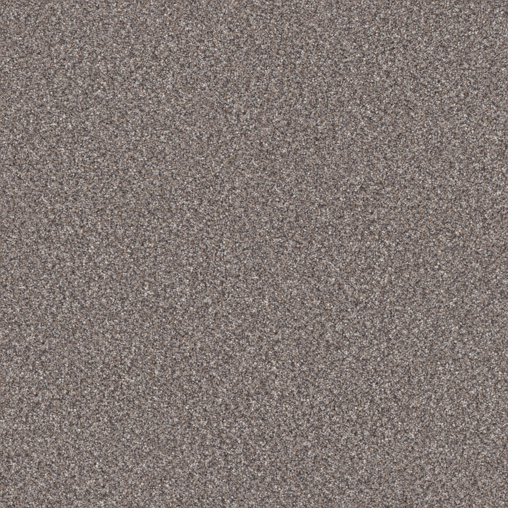 TruSpirit II STAINLESS MAIN