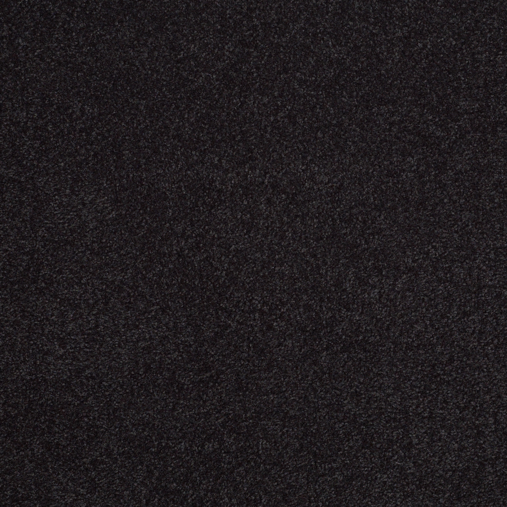 SANDY HOLLOW CLASSIC III 12' GRAPHITE MAIN