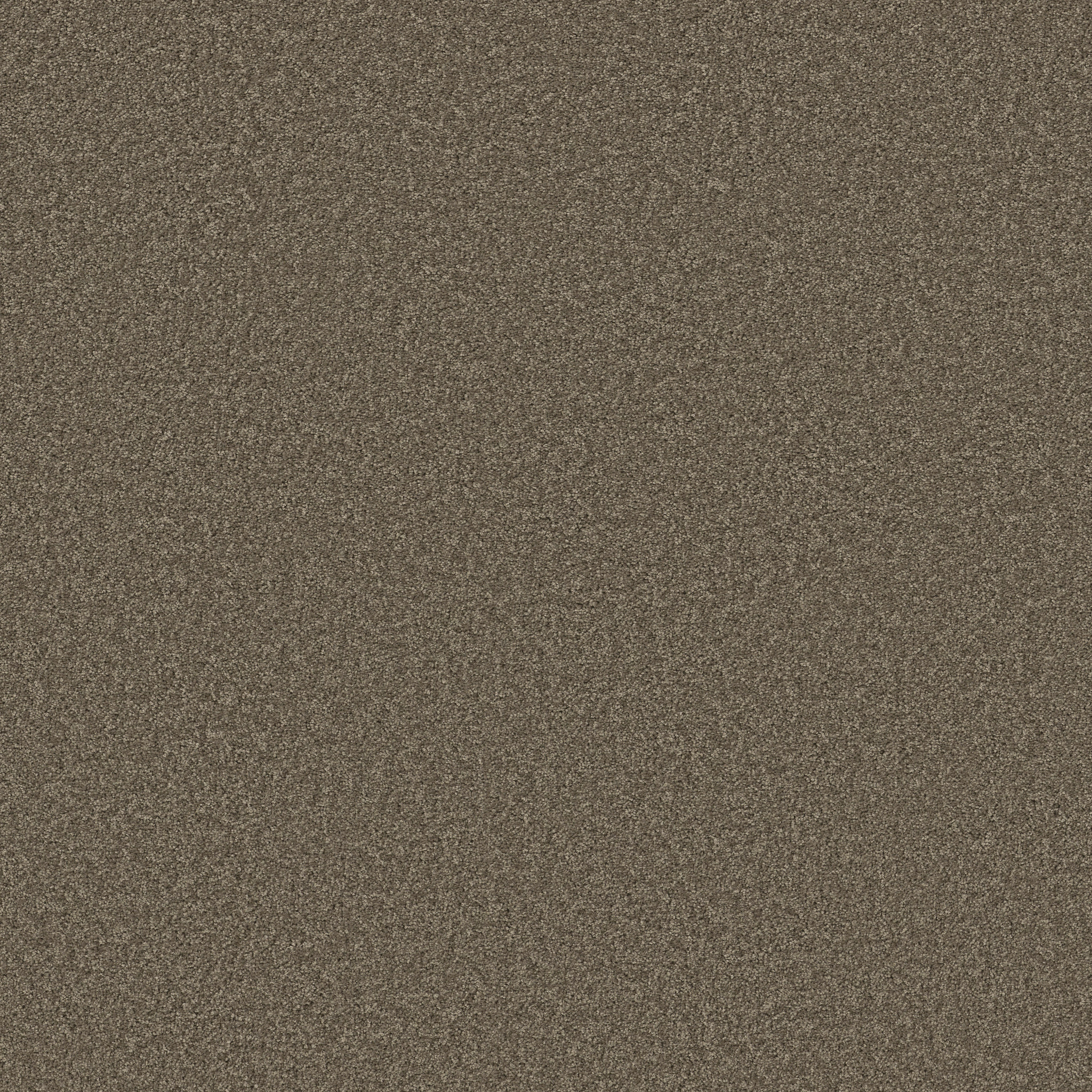 LAGUNA BEACH RUSTIC TAUPE MAIN