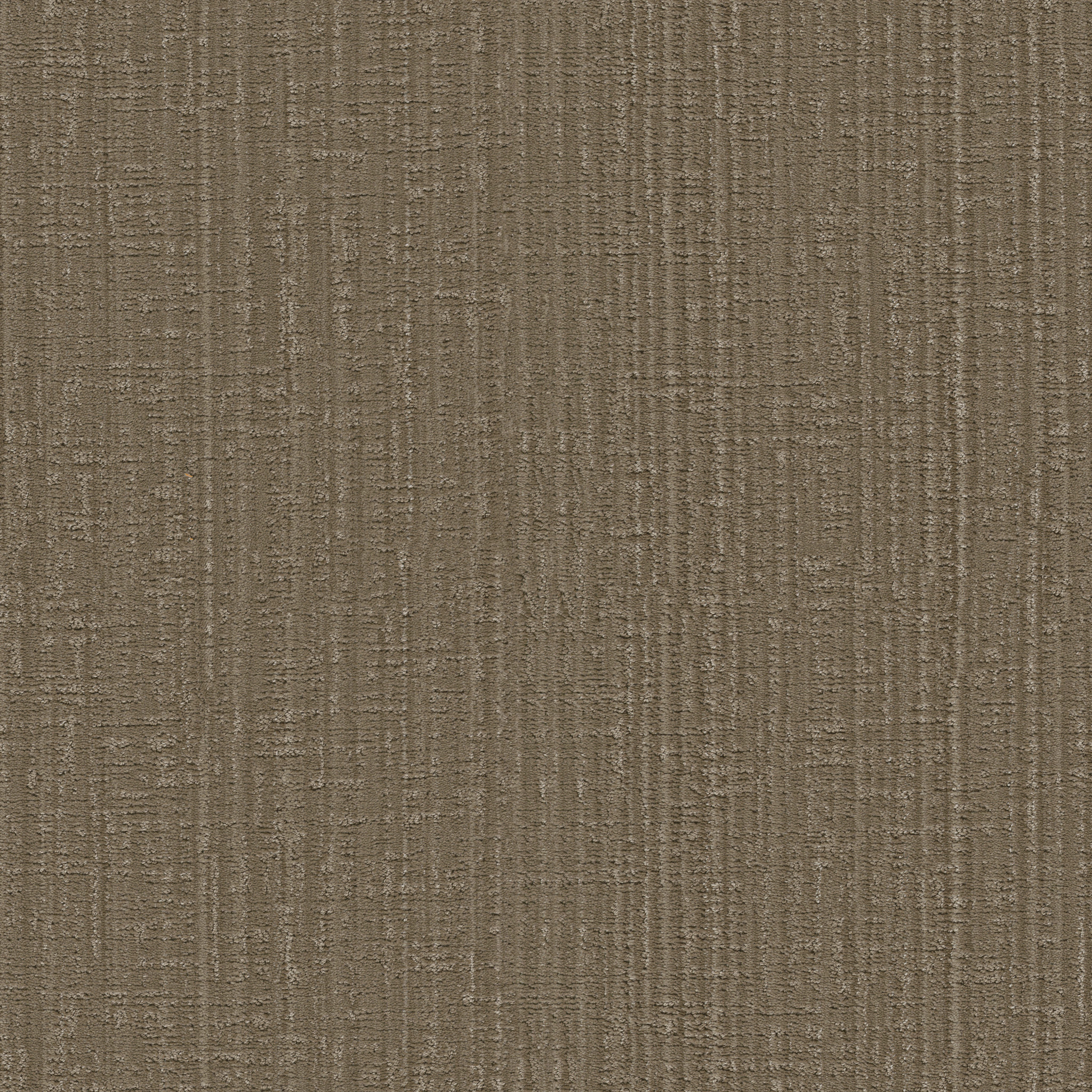 SHADY STROLL ACORN MAIN