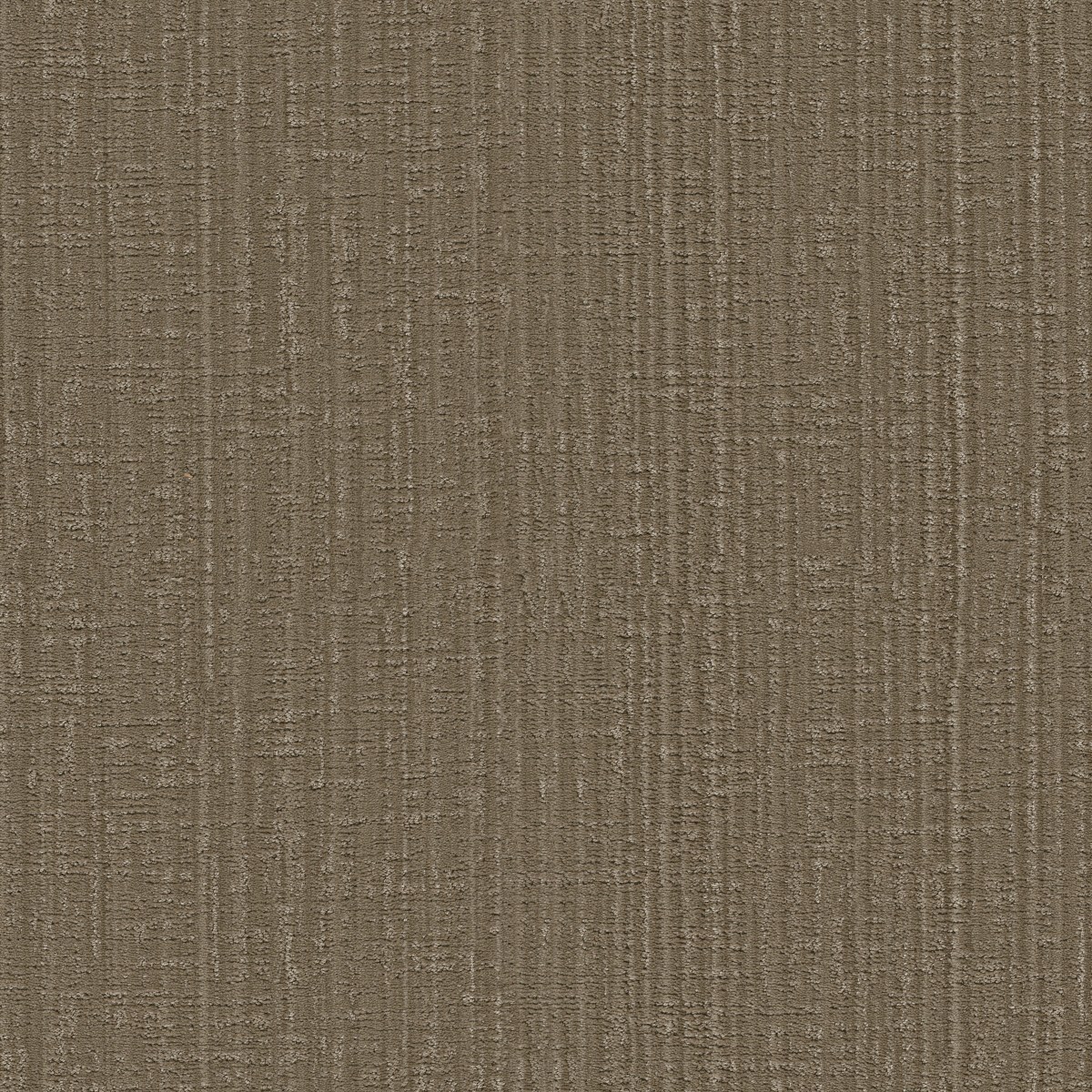 Shaw Floors SHADY STROLL — ACORN
